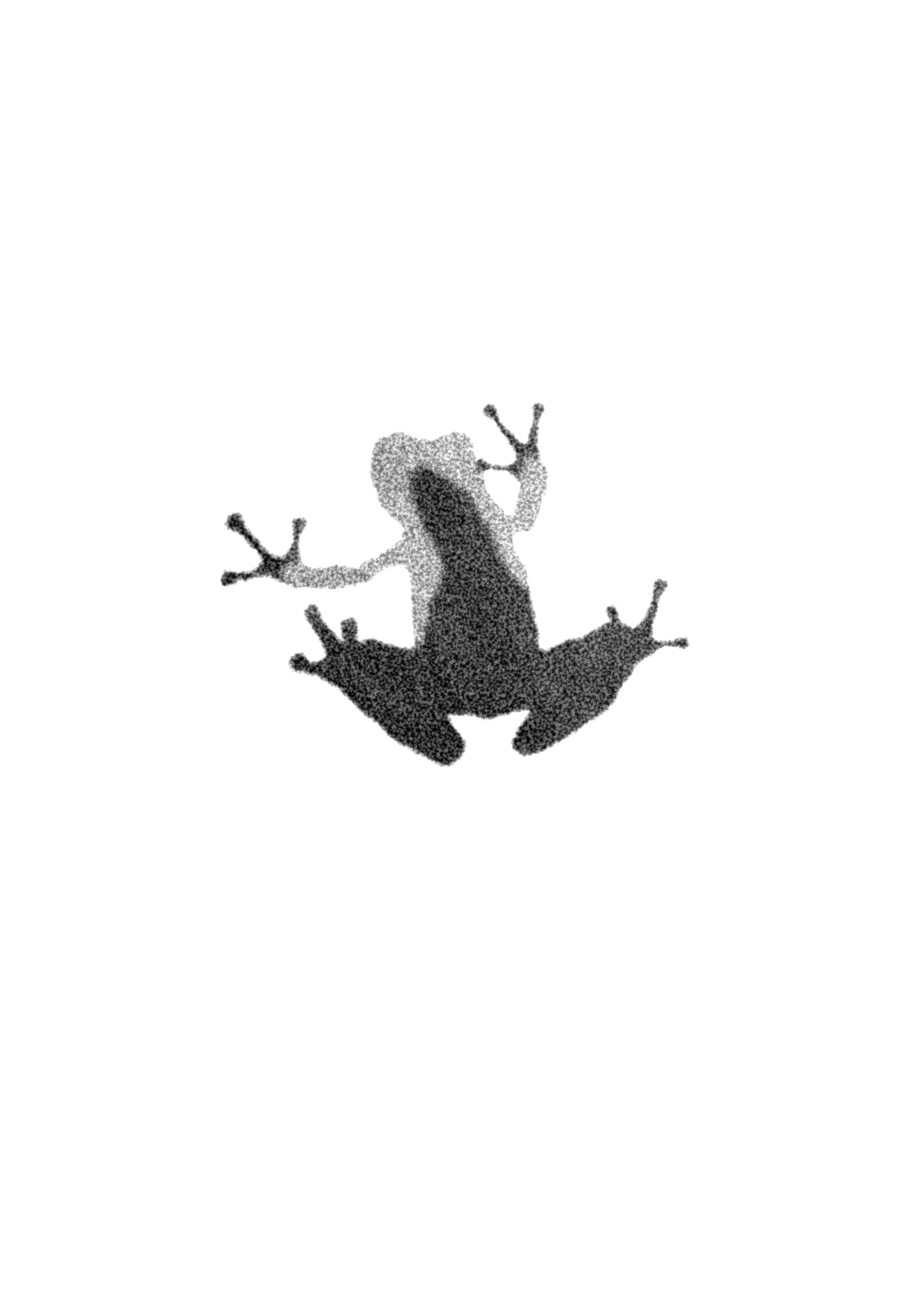 Cuba_Dupa__March_Flash 7.JPG