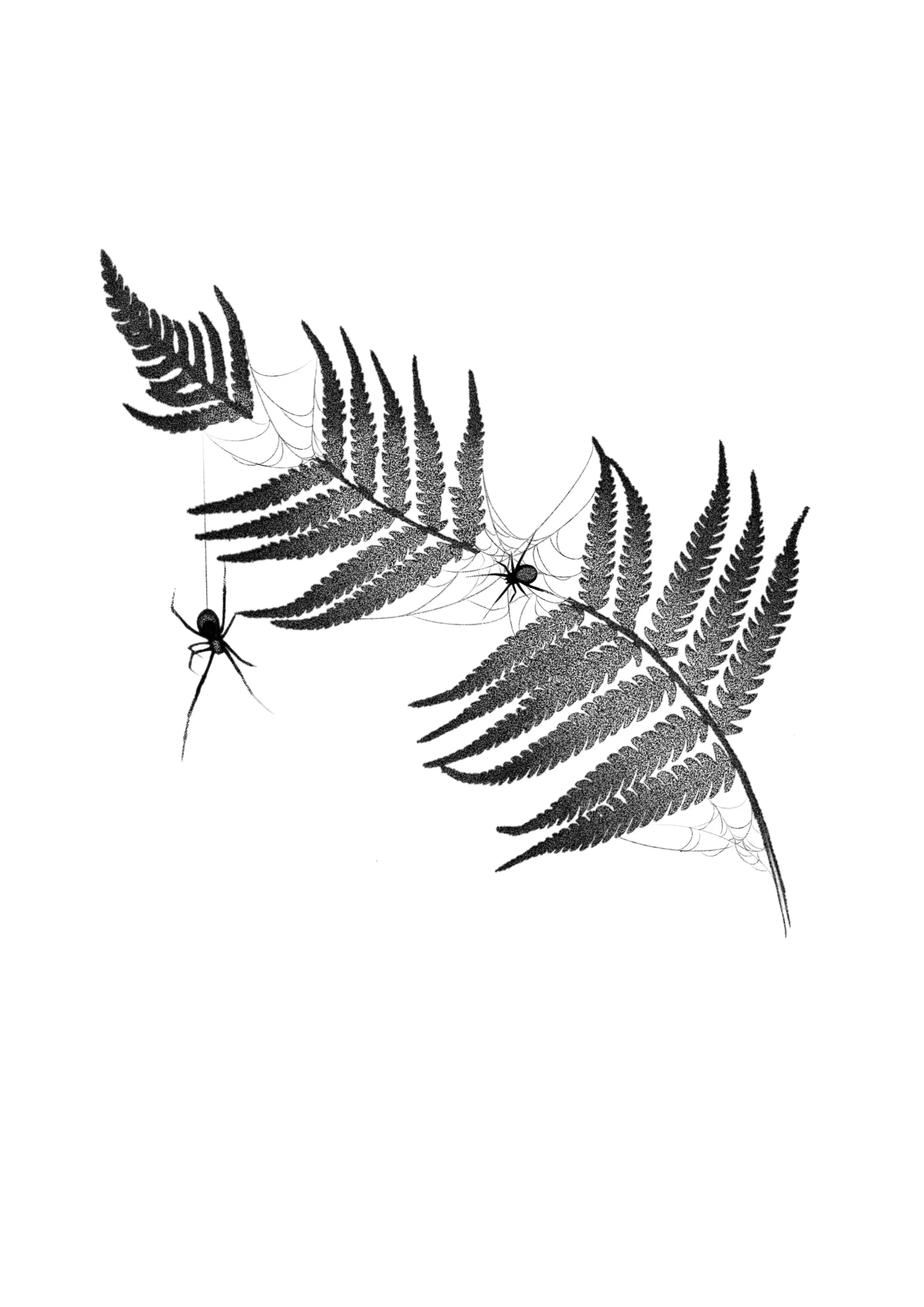 Cuba_Dupa__March_Flash 11.JPG