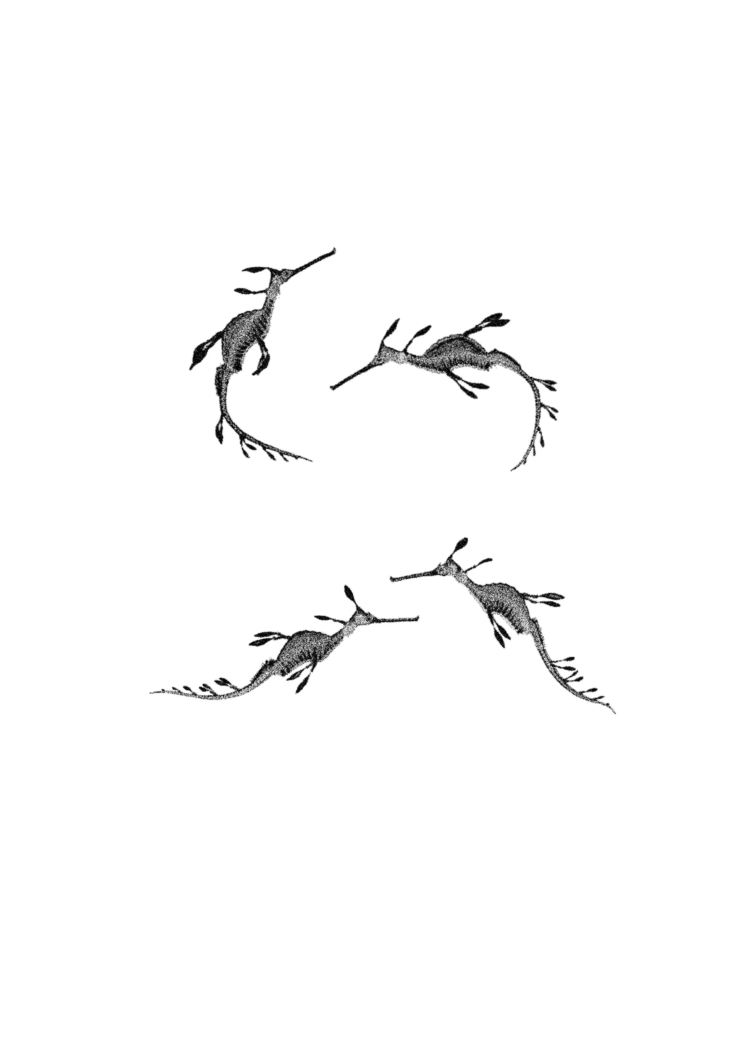 Cuba_Dupa__March_Flash 3.JPG