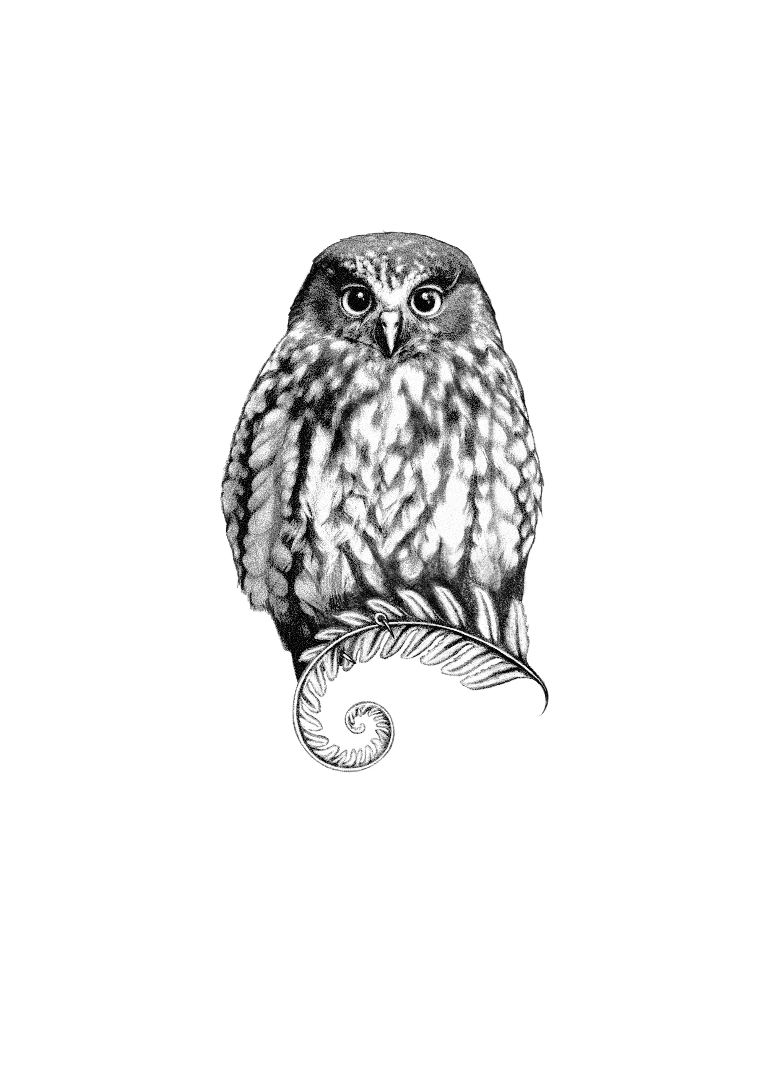 Cuba_Dupa__March_Flash 8.JPG