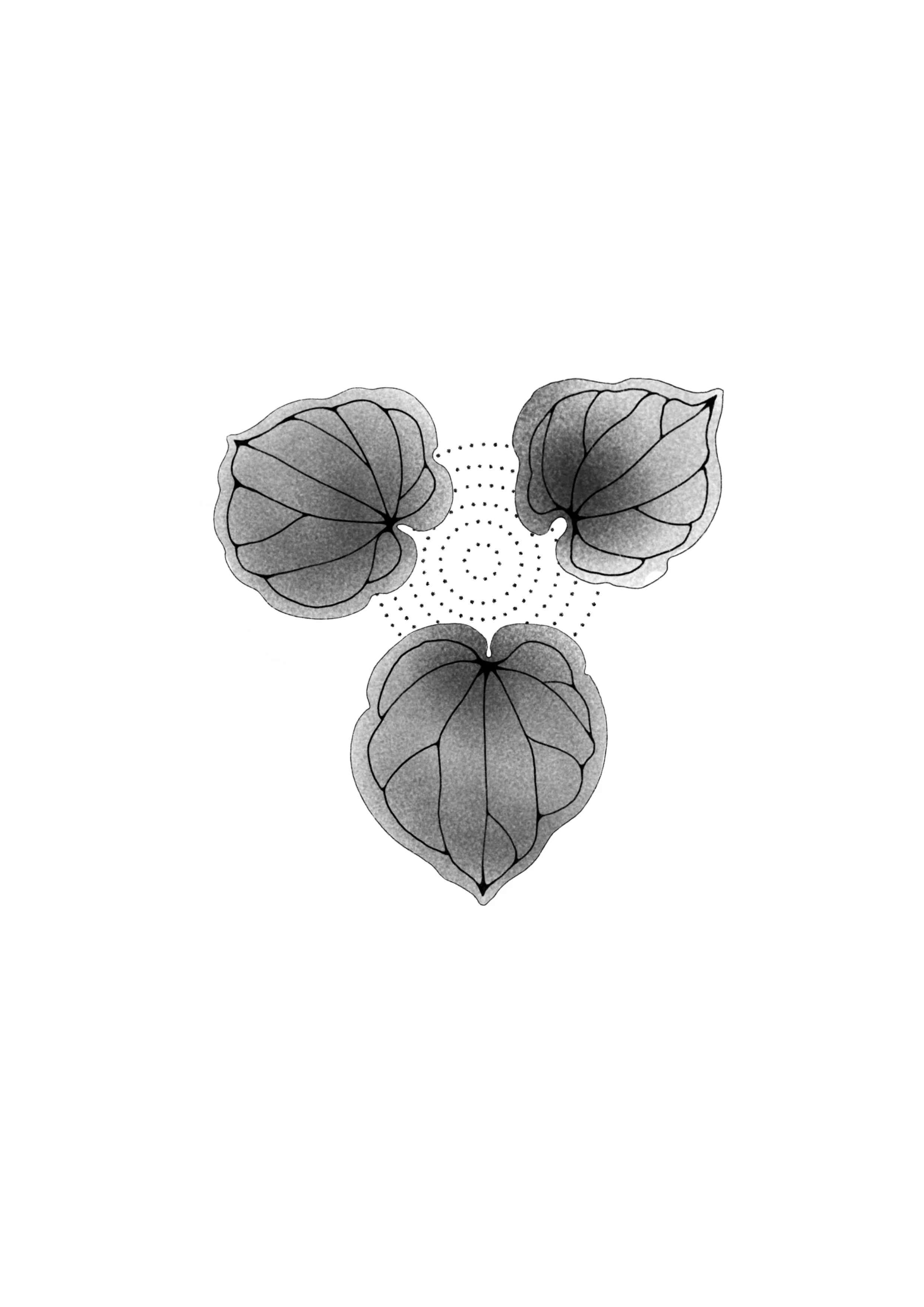 Cuba_Dupa__March_Flash 14.JPG