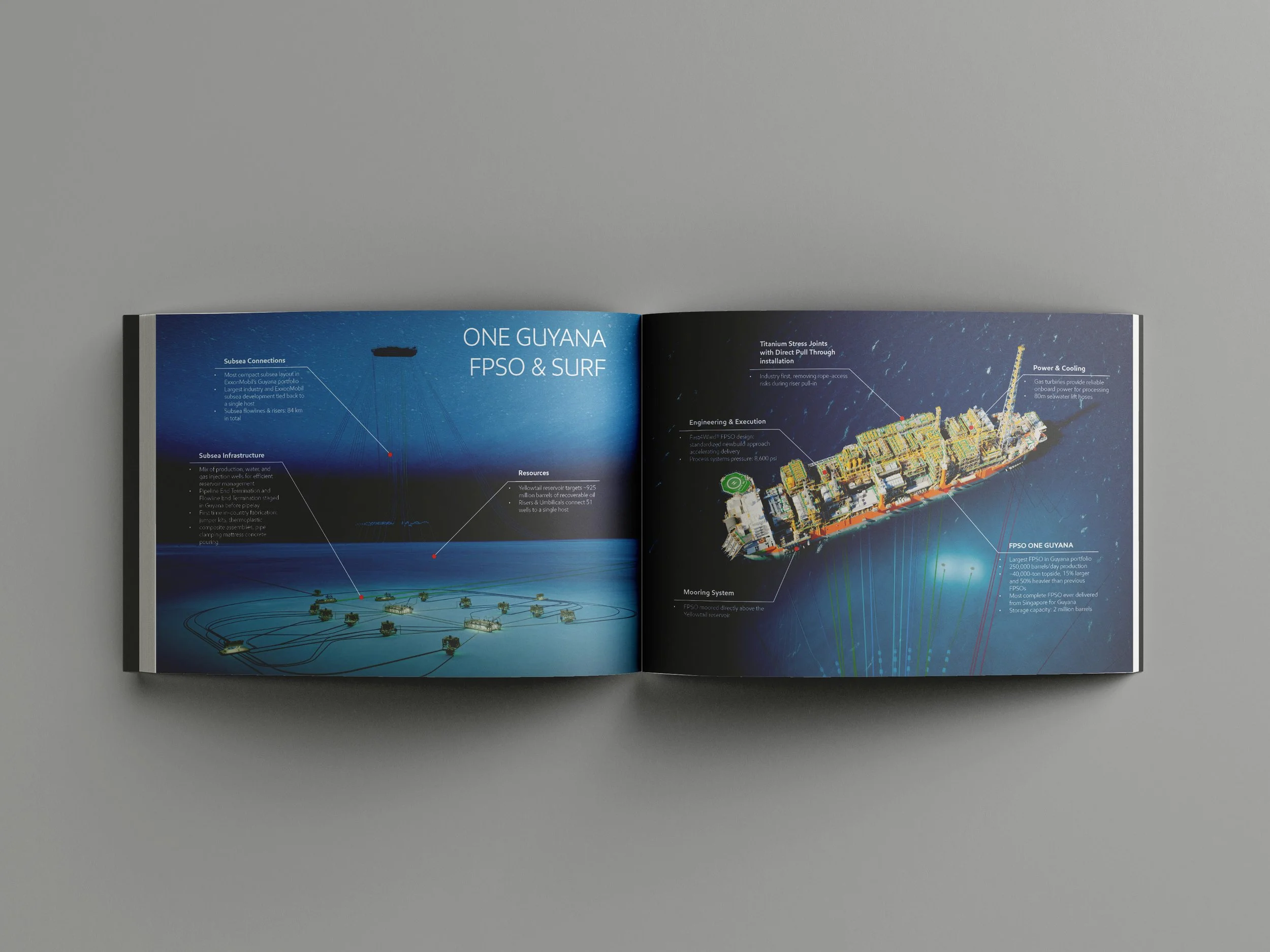 Myriad_Mockups_EM_Yellowtail-2.jpg