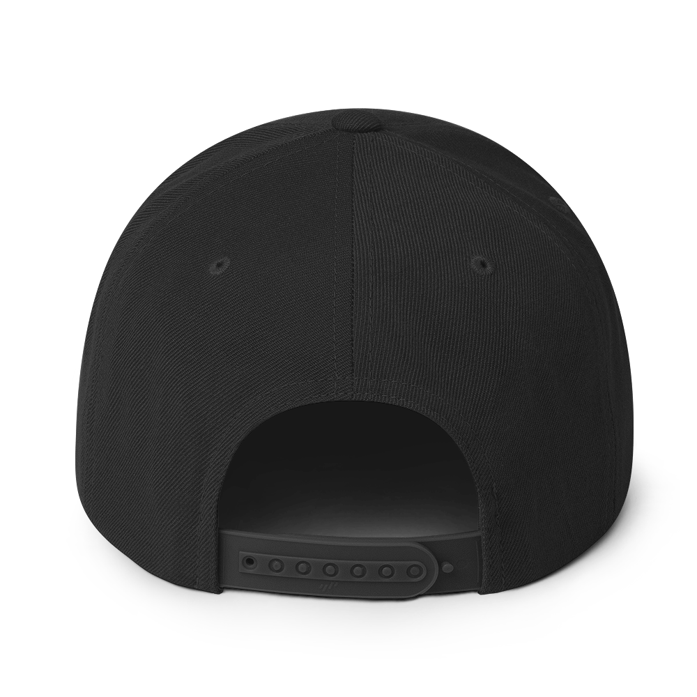 classic-snapback-black-back-67709dfd046d6.png
