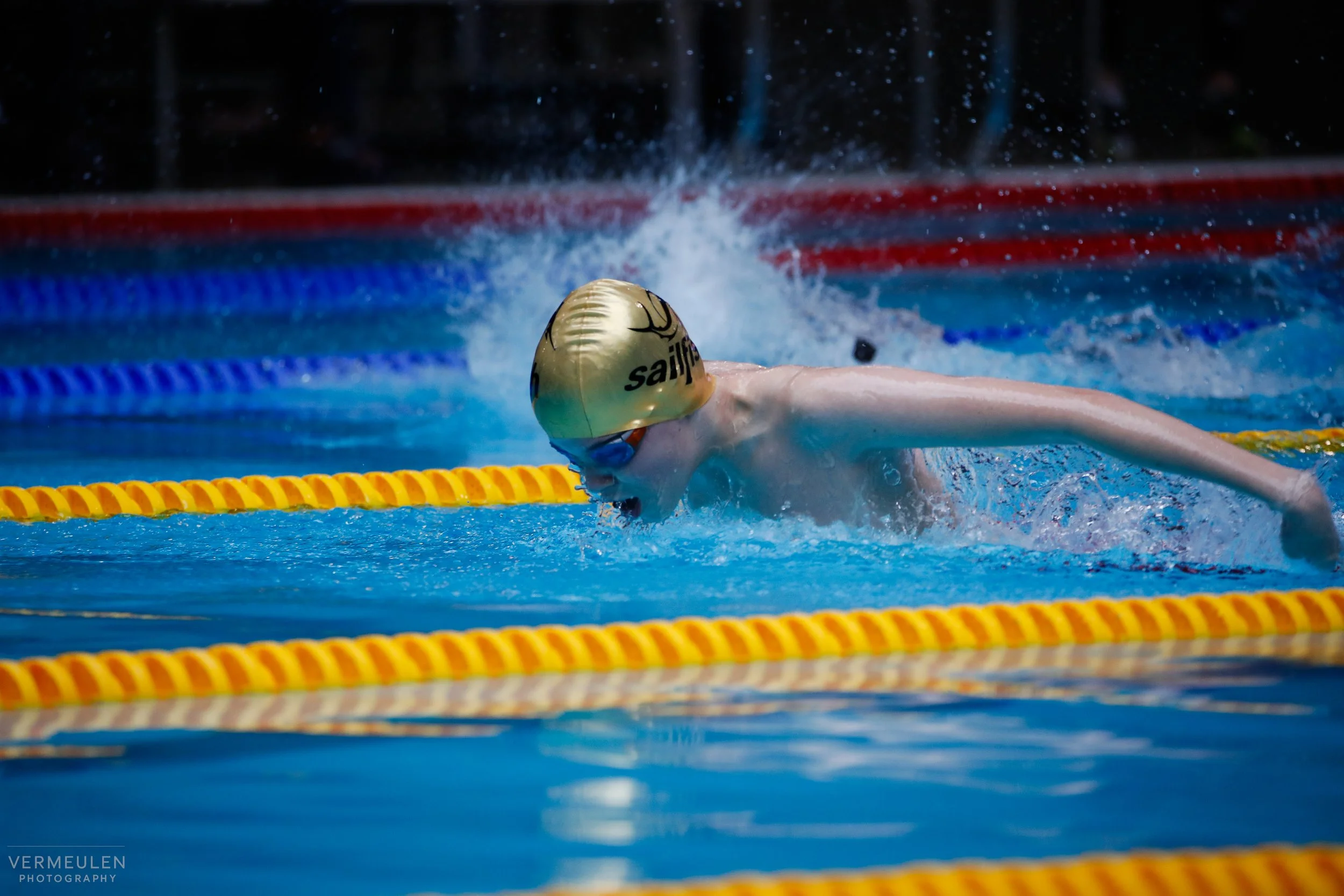 Siem Vlinderslag.jpg