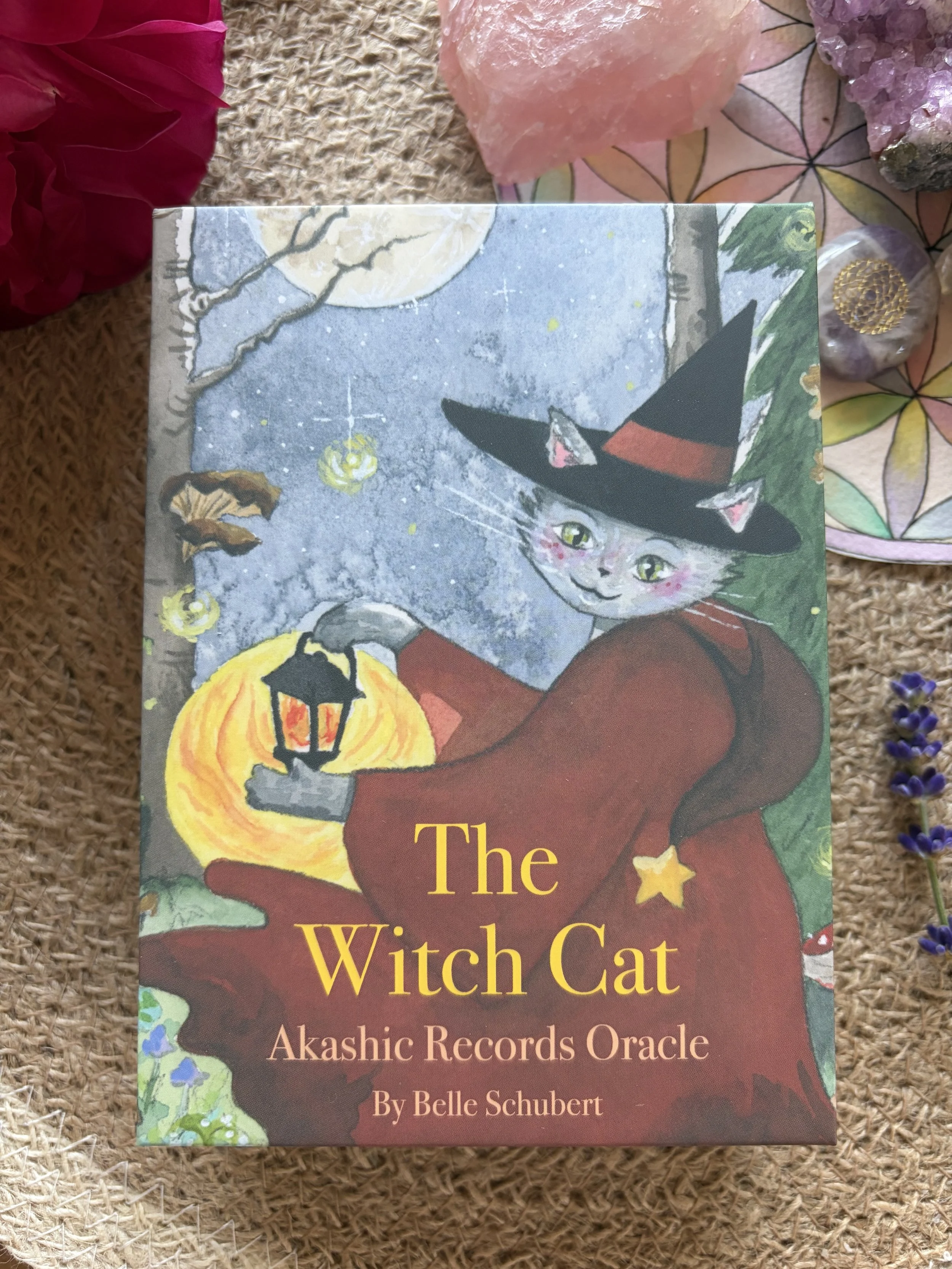 The Witch Cat Oracle