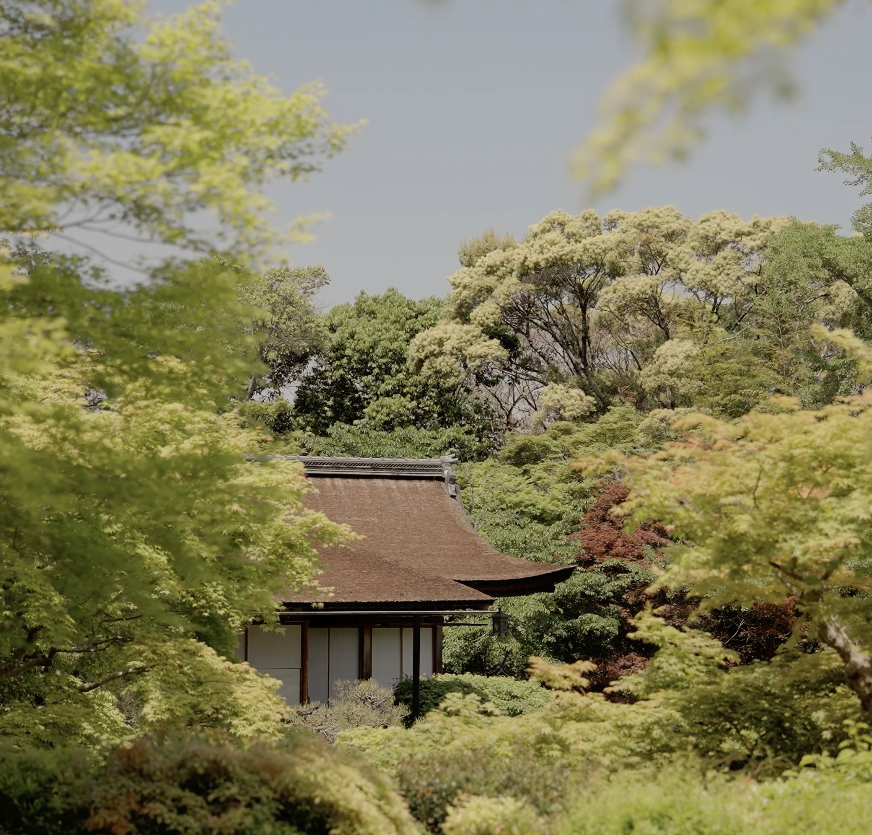 Screenshot 2026-01-09 at 14.10.18.png