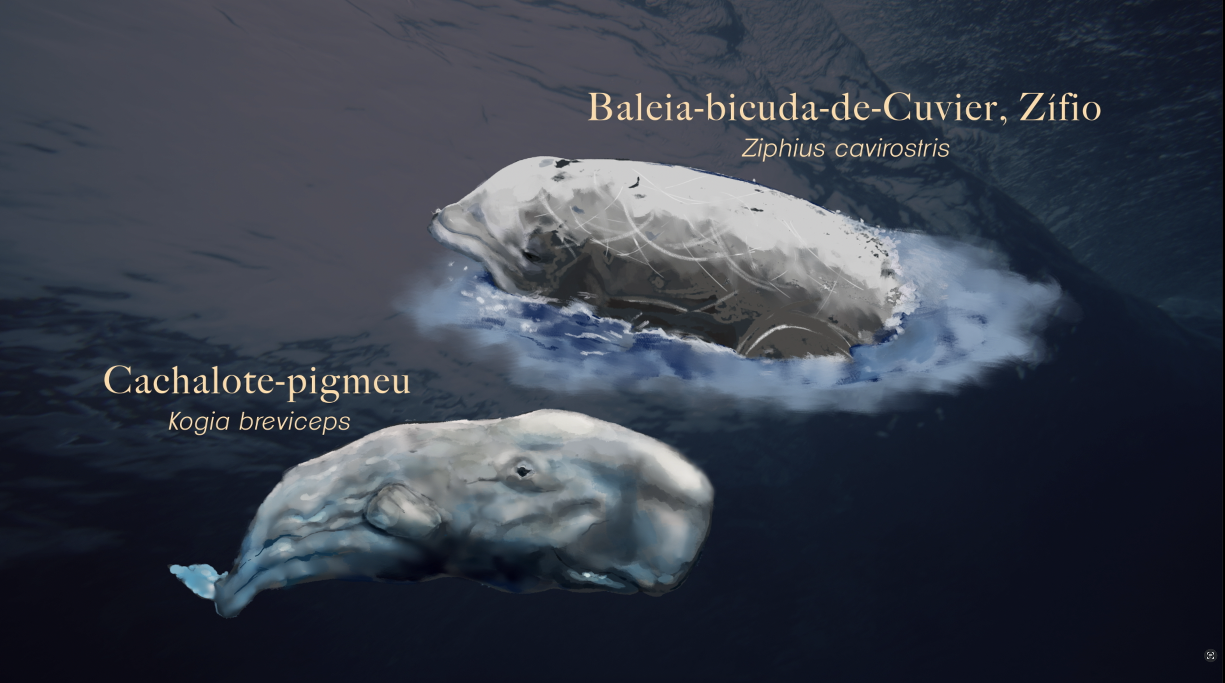 Screenshot 2026-03-12 at 17.42.30.png