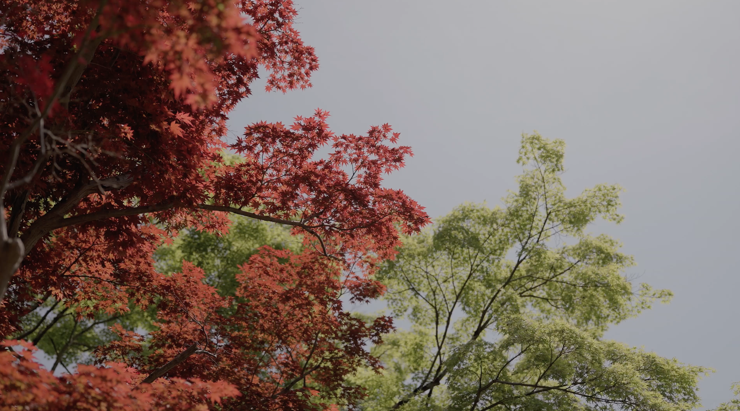 Screenshot 2026-01-09 at 14.18.02.png