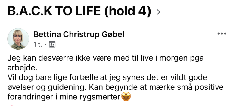 Skærmbillede 2024-11-26 kl. 19.25.04.png