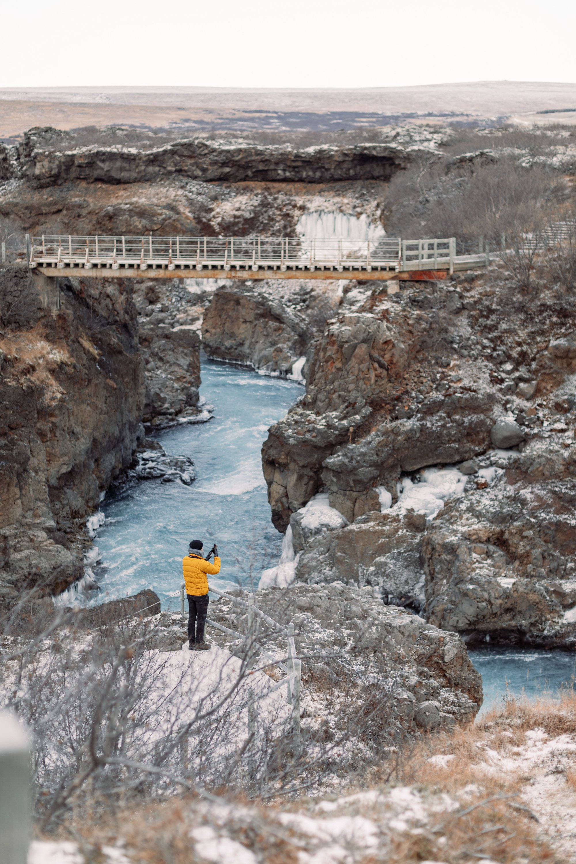 3J2A7400-small.jpg