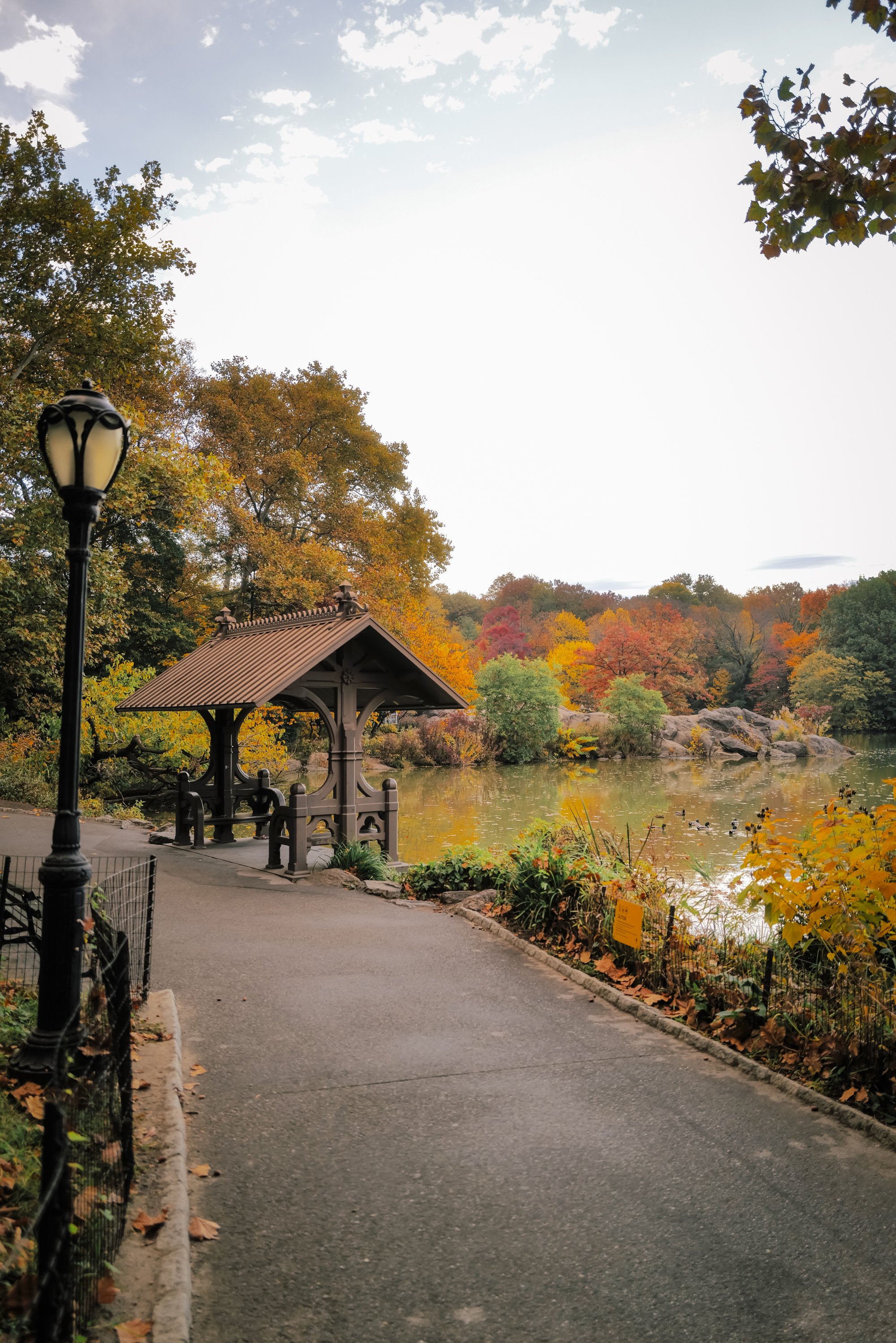 L1013030.jpg