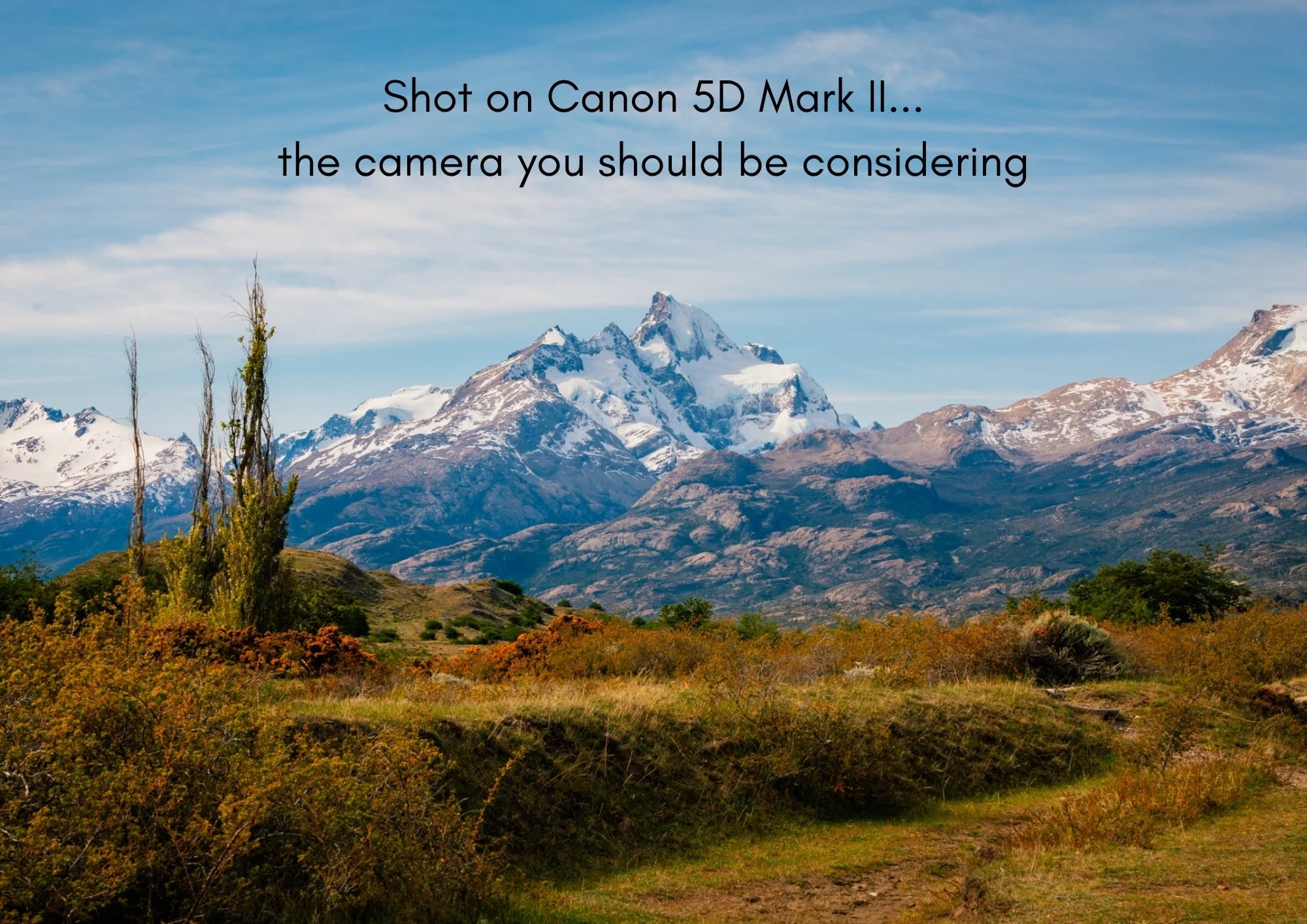 You Don't Need a Camera Upgrade: The 2008 Camera you should still buy in 2026. 