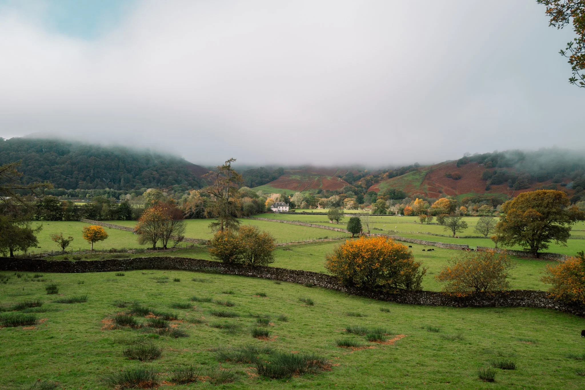 L1060827.jpg