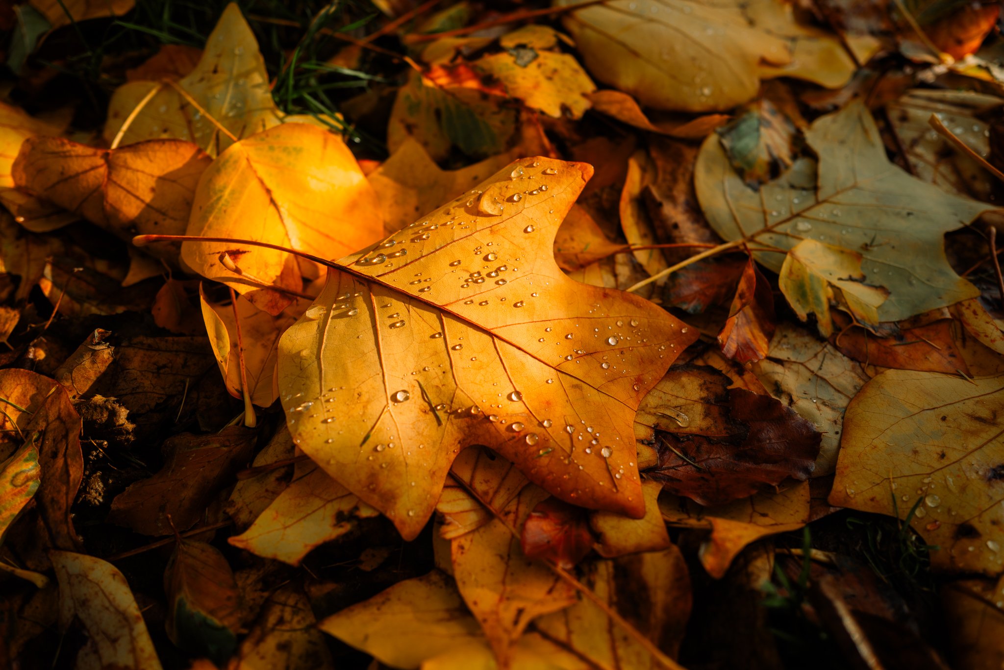 L1061258.jpg