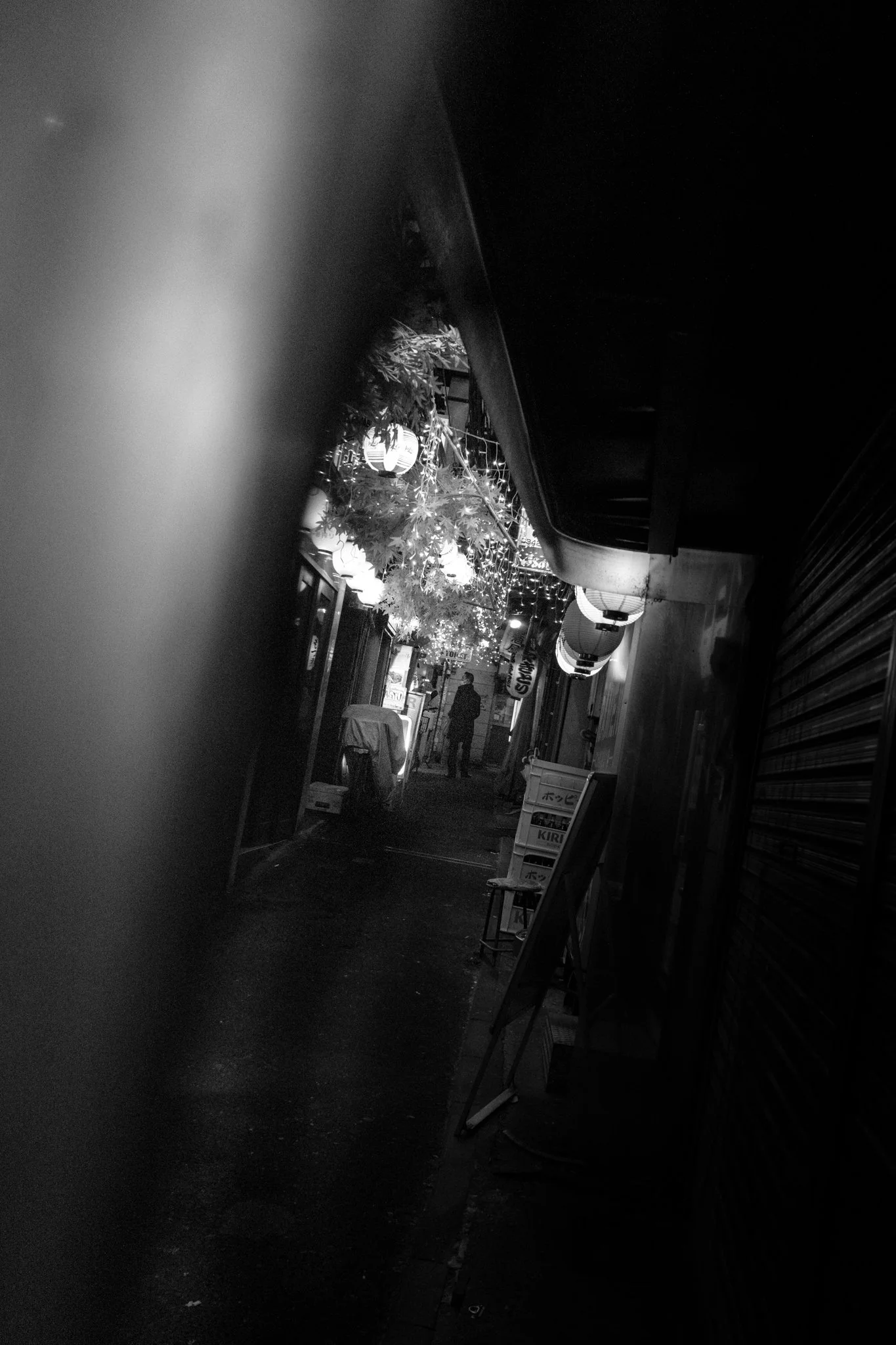 DSCF4311.jpg