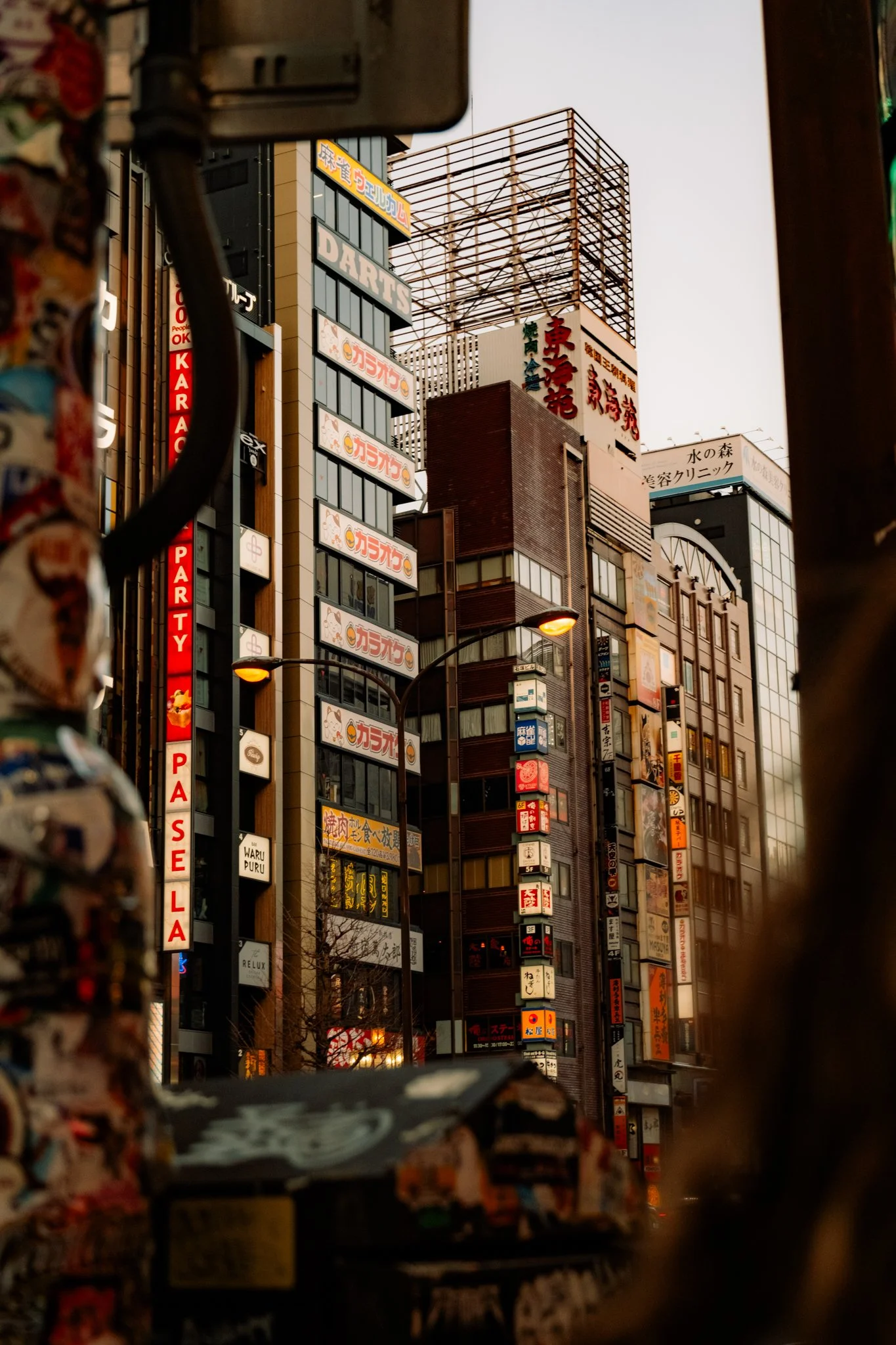DSCF4208.jpg