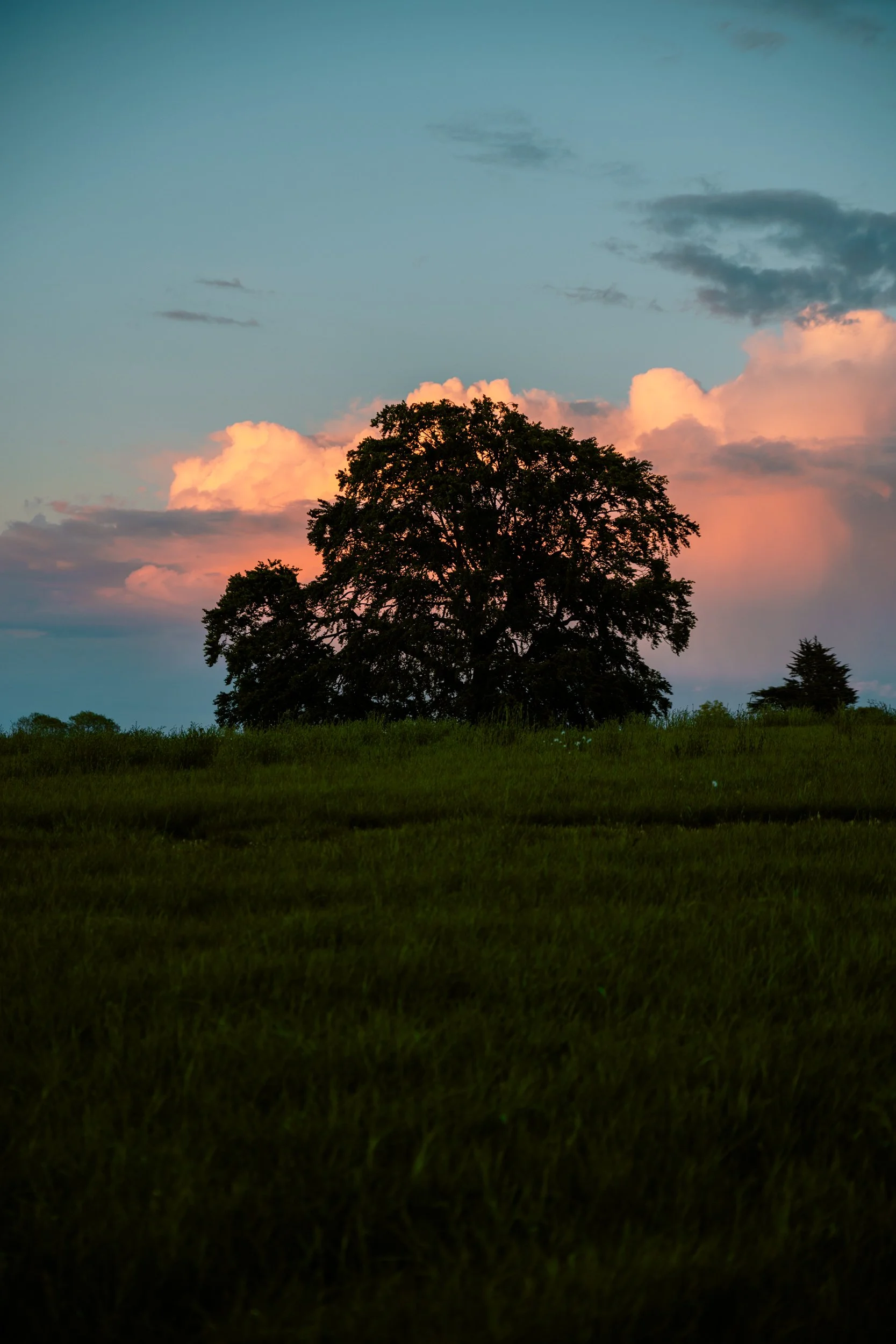 3L9A5417.jpg