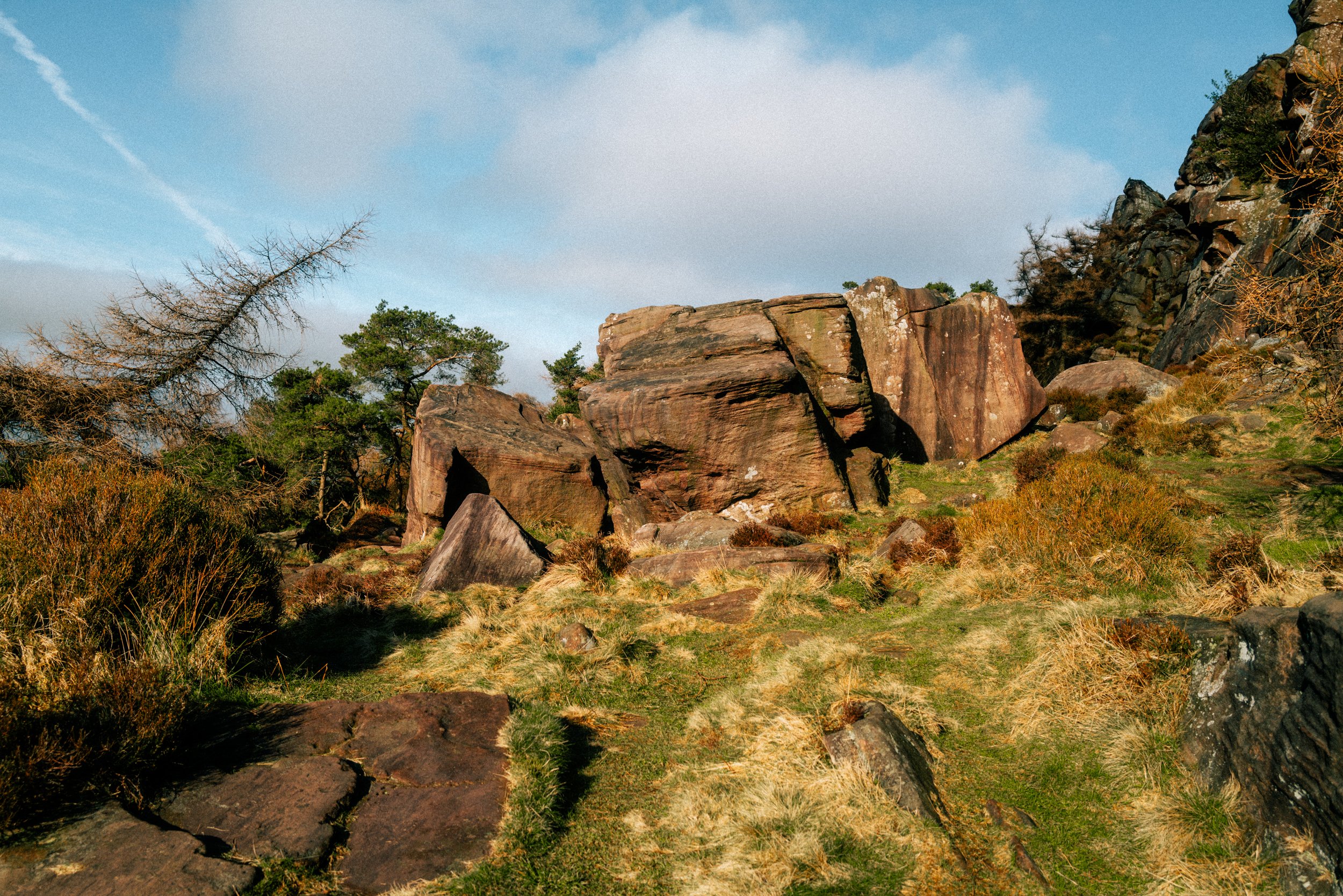 L1021288.jpg