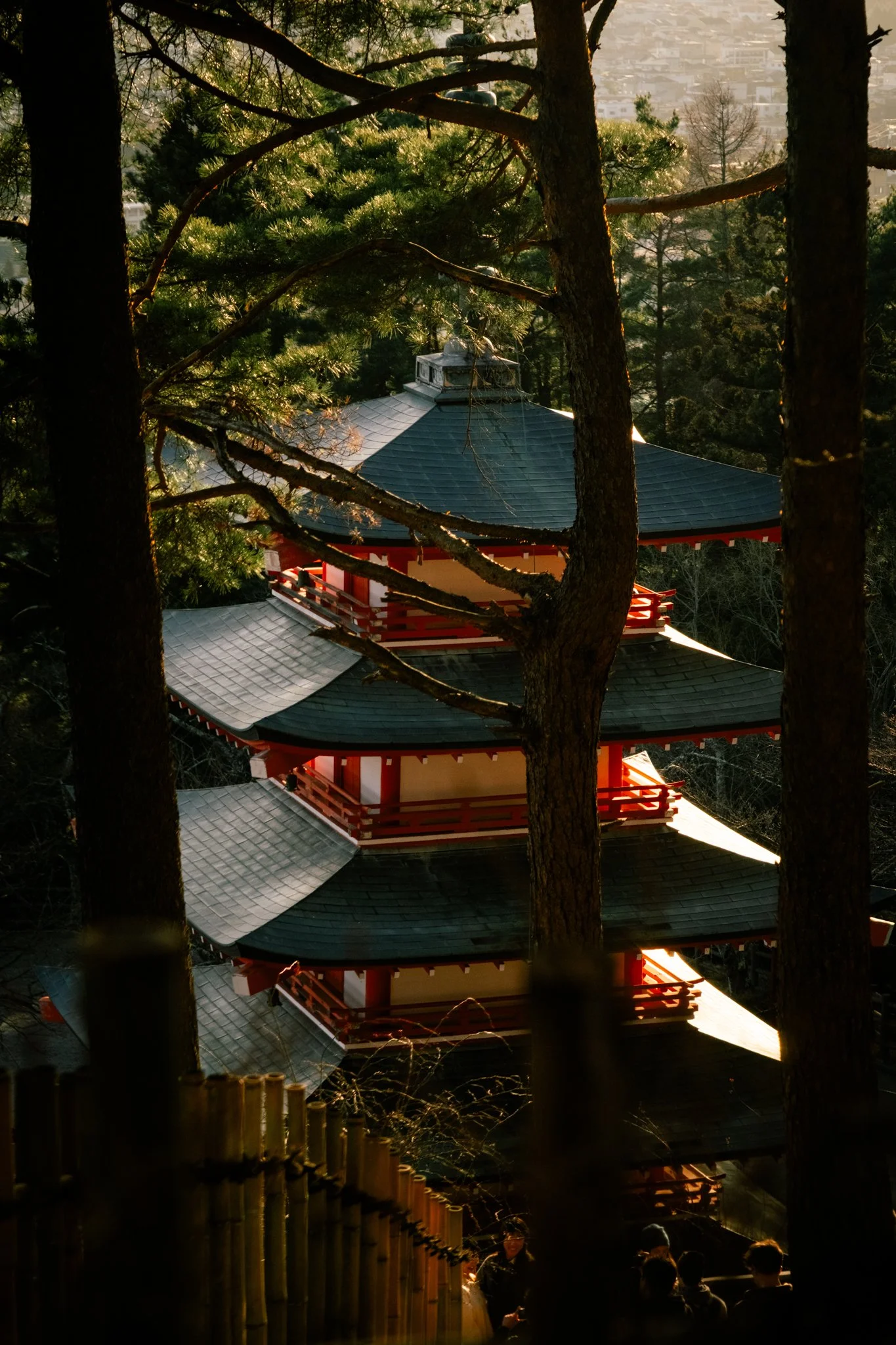 DSCF4988.jpg