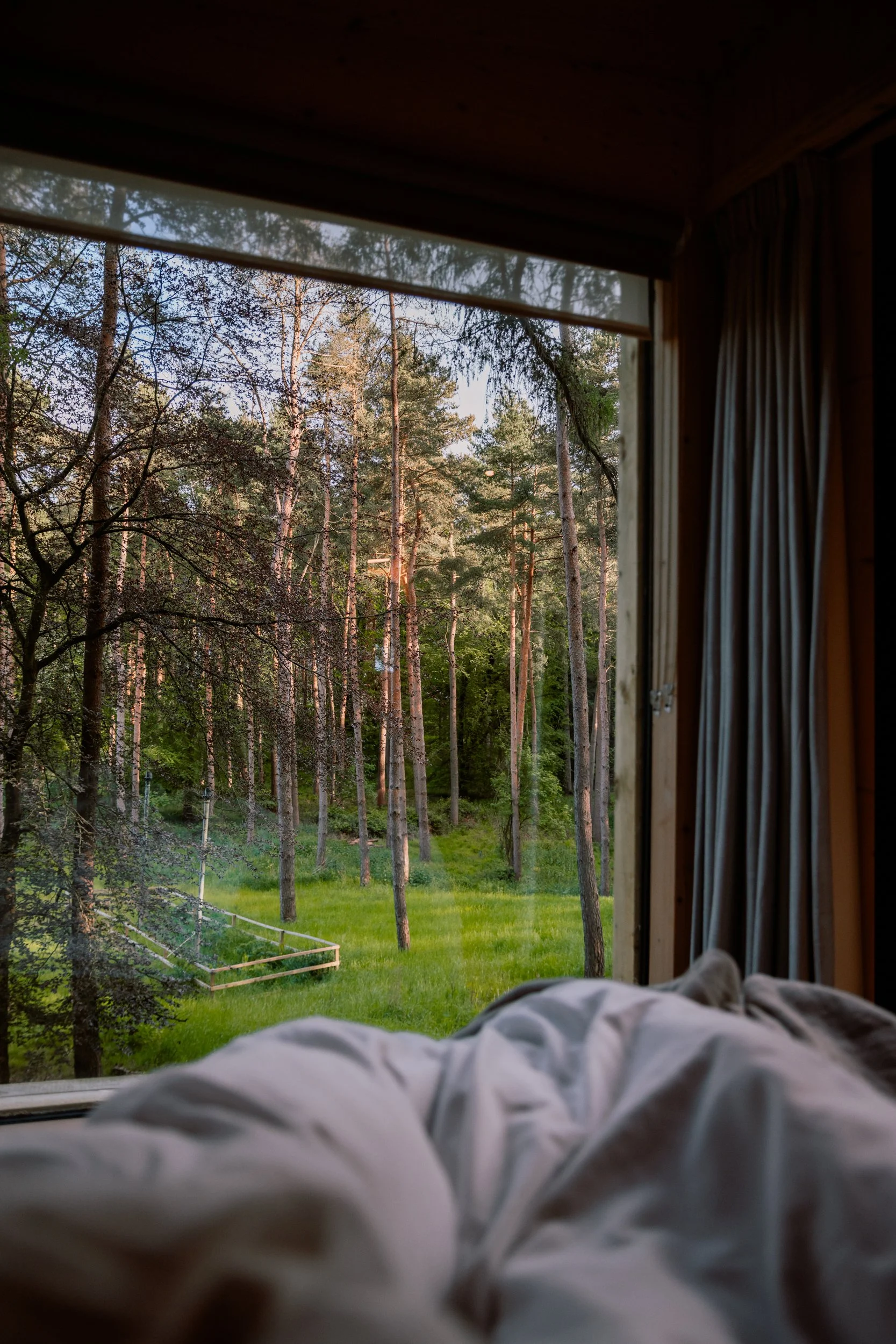 3L9A5362.jpg