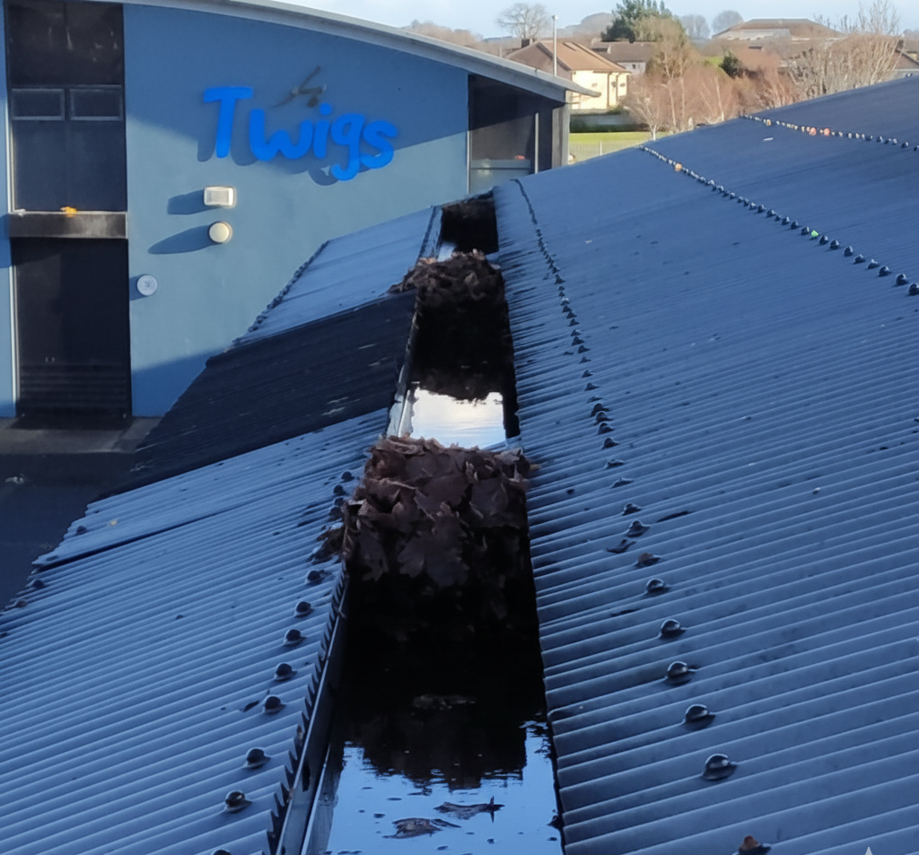 BEST GUTTER IMAGE.png