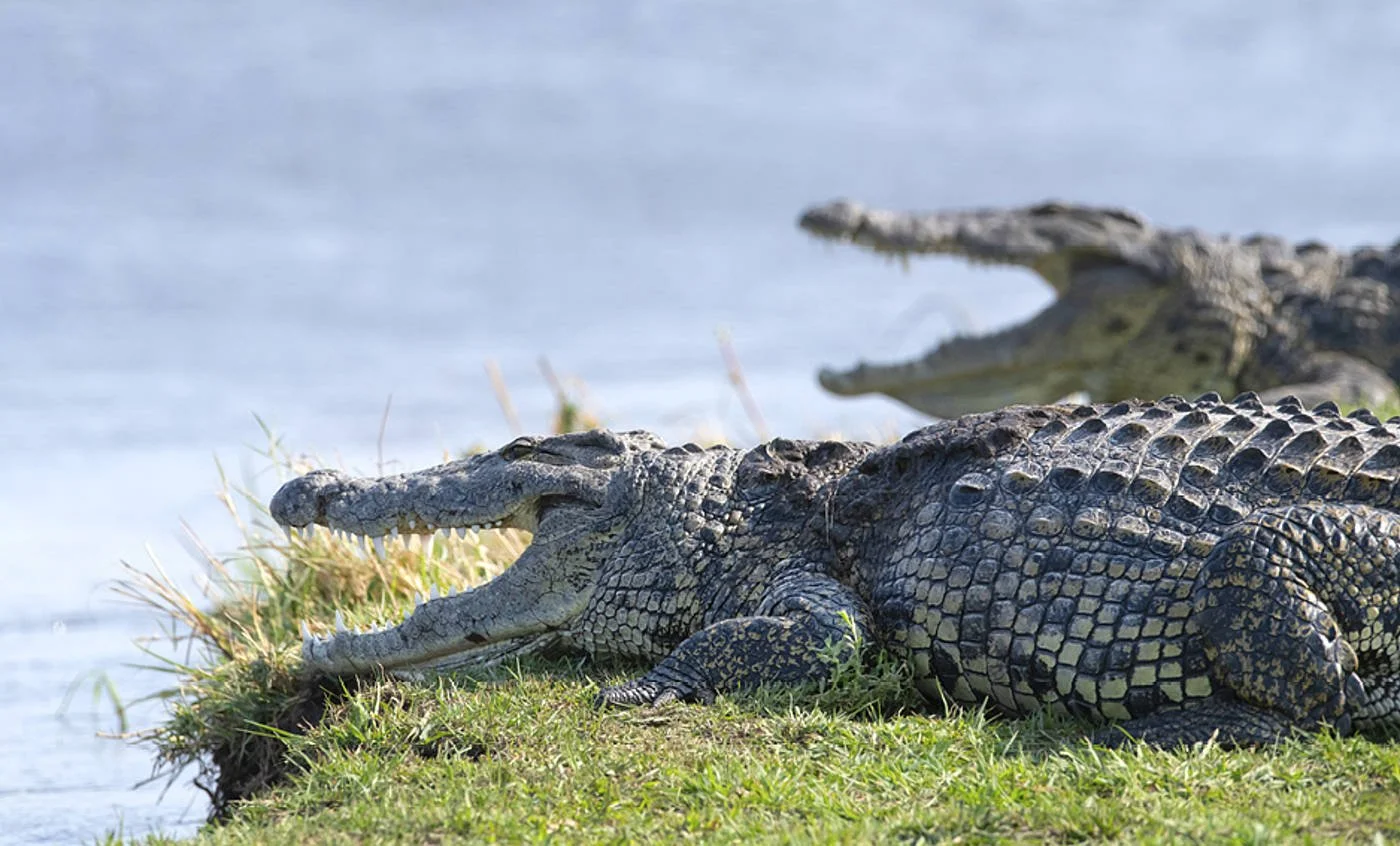 Botswana Zimbabwe_Lifetravel07.jpg