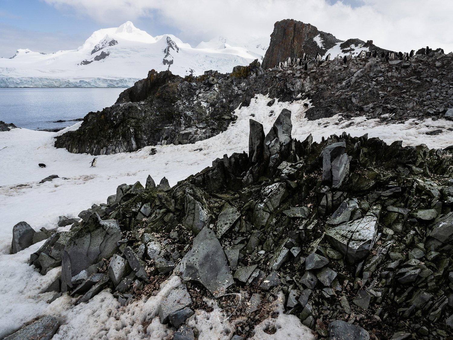 Antarctica_PhilippJakeschPhotography-9681.jpg