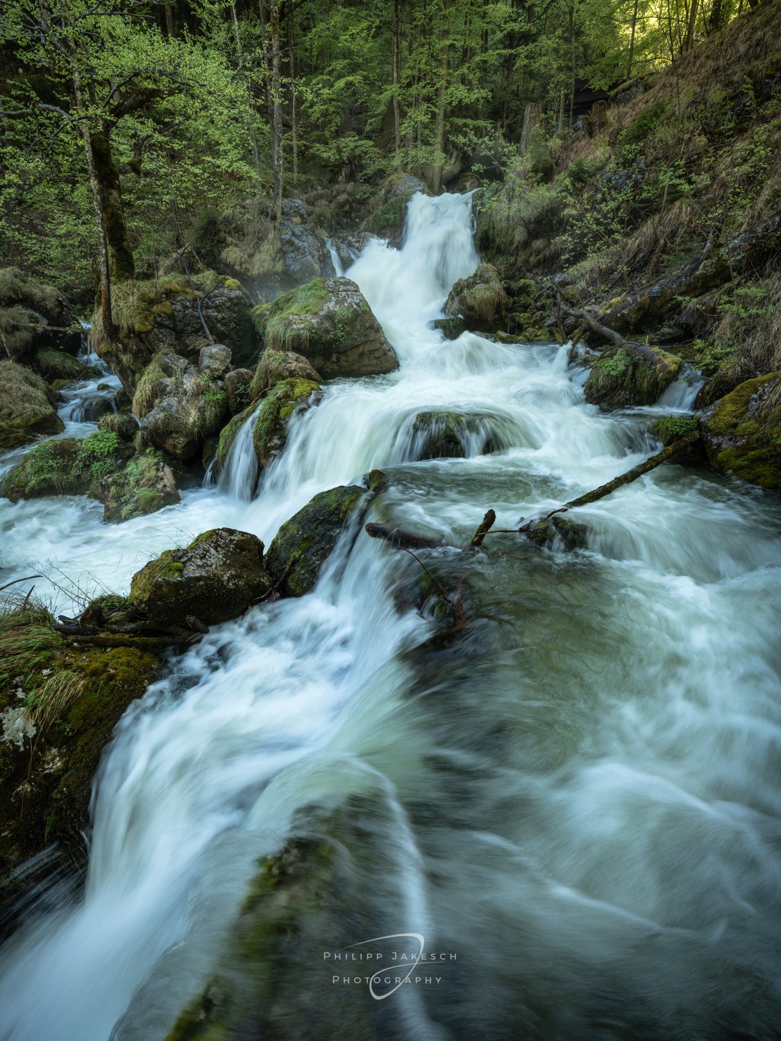Gesäuse_Philipp Jakesch Photography-6088.jpg