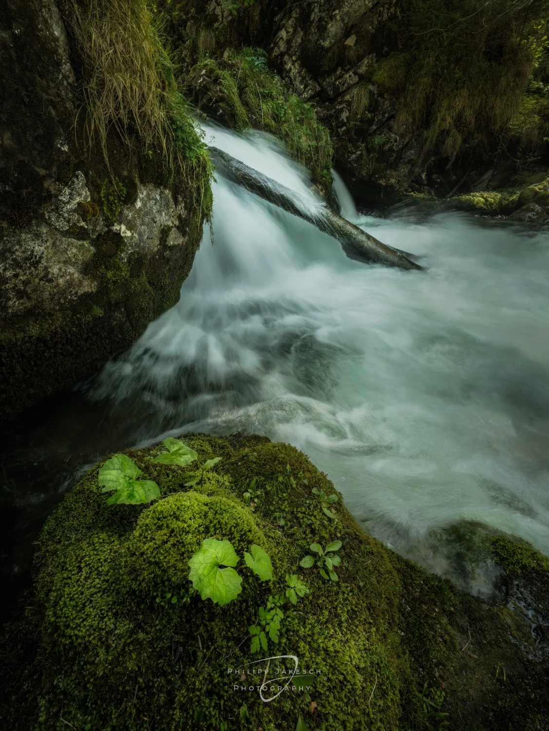 Gesäuse_Philipp Jakesch Photography-.jpg