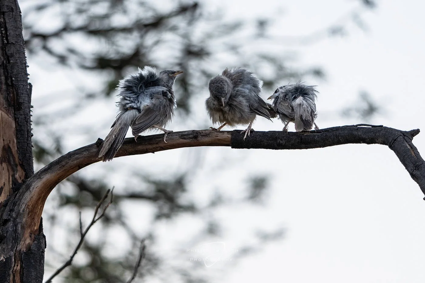 India_PhilippJakeschPhotography_260521_3220.jpg