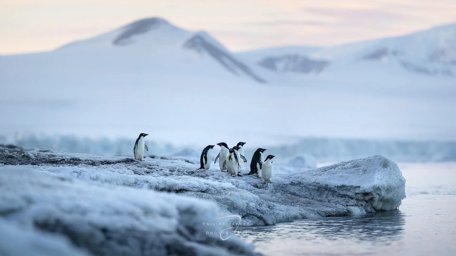 Antarctica_PhilippJakeschPhotography-.jpg