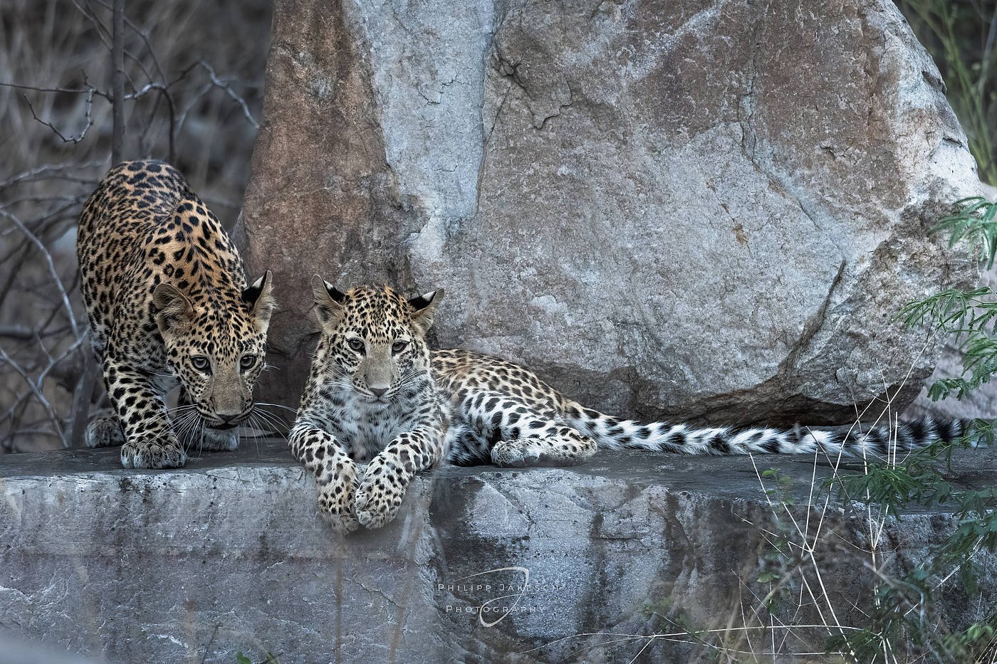 India_PhilippJakeschPhotography_260523_5045.jpg