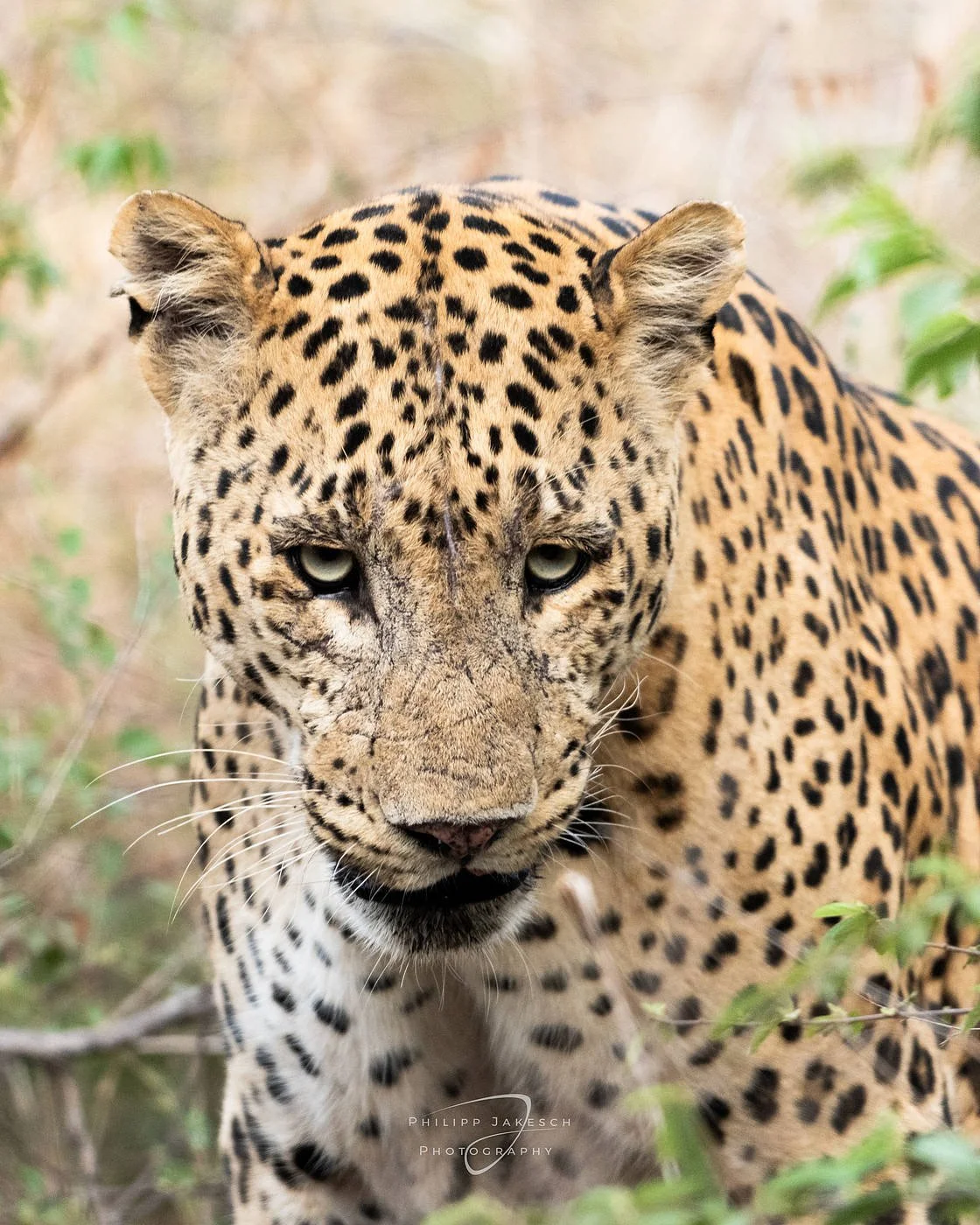 India_PhilippJakeschPhotography_260522_3827.jpg