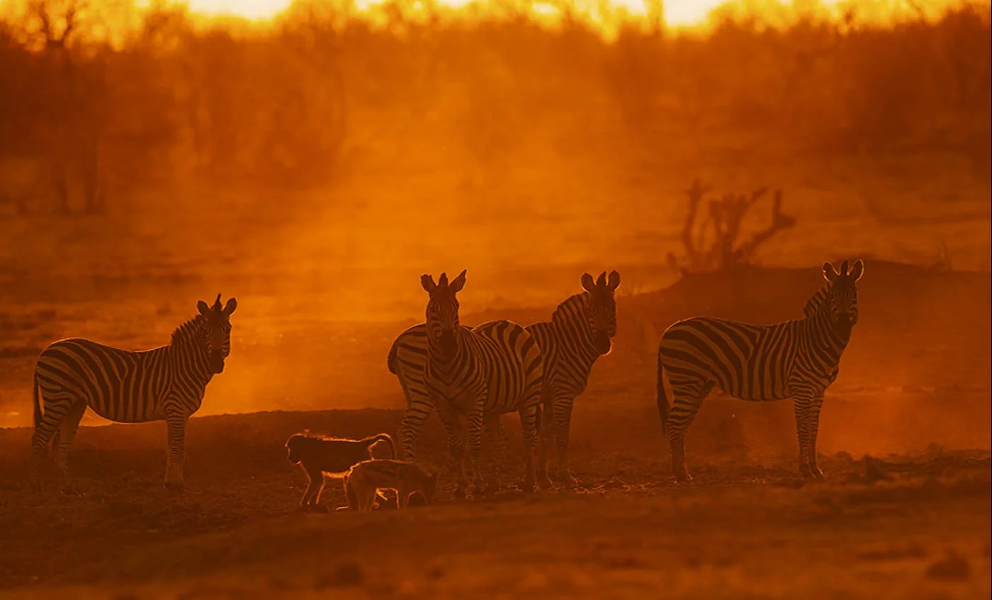 Botswana Zimbabwe_Lifetravel08.jpg