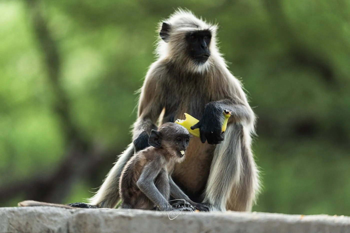 India_PhilippJakeschPhotography_260523_939918.jpg