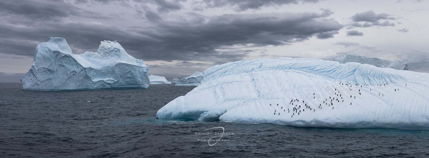 Antarctic_Southgeorgia_Philipp Jakesch Photography251101_0819-Pano.jpg