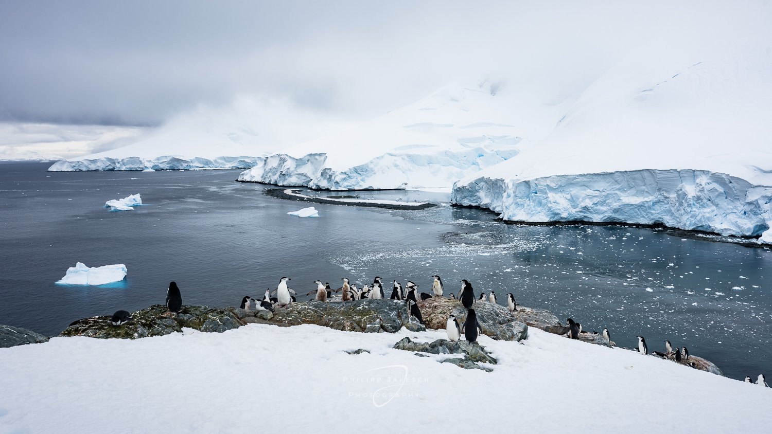 Antarctic_Southgeorgia_Philipp Jakesch Photography251107_8683.jpg