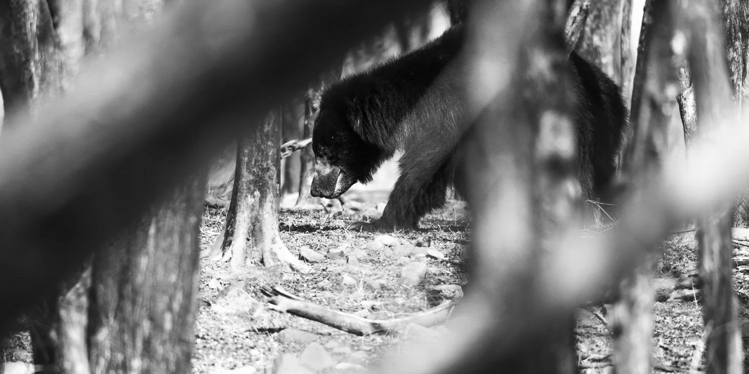 Jakesch_260520_1197.jpg