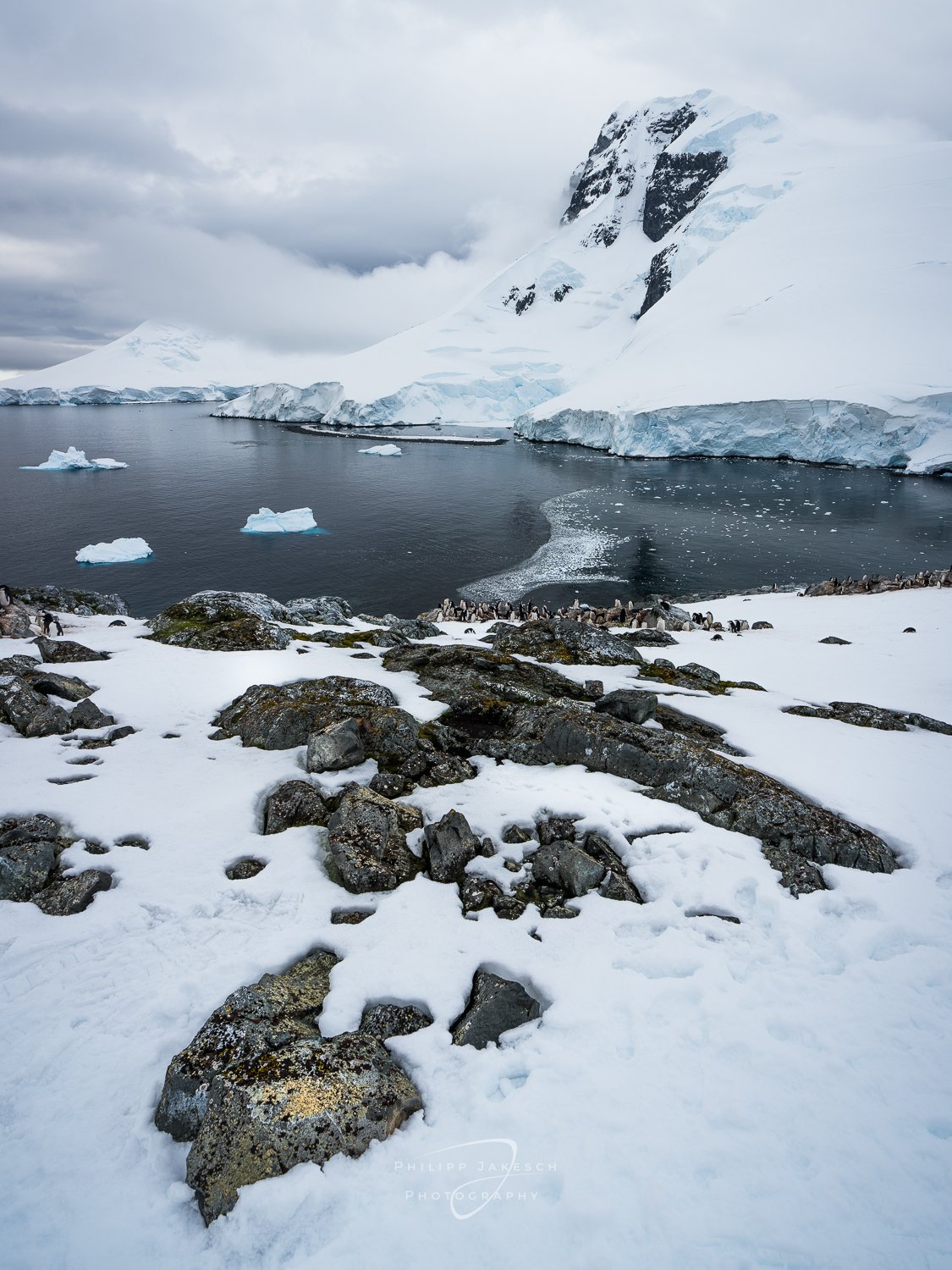 Antarctic_Southgeorgia_Philipp Jakesch Photography251107_8946.jpg