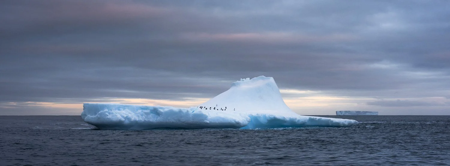 Antarctica_PhilippJakeschPhotography-938356.jpg