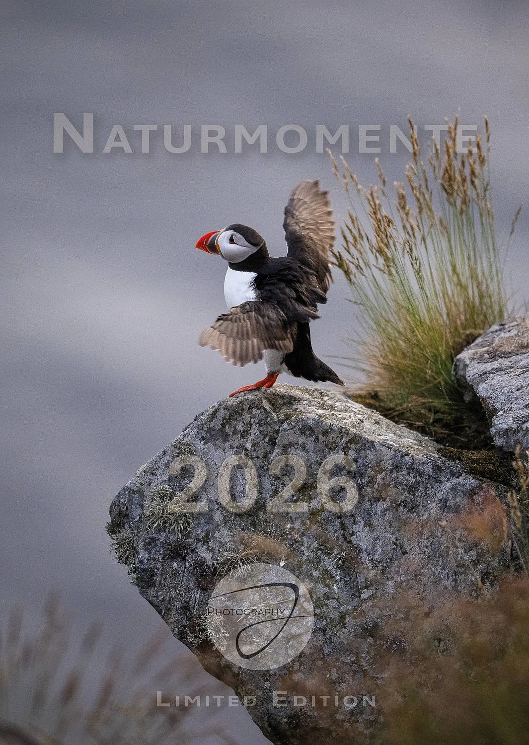 Naturmomente 2026 Philipp Jakesch Photography01.jpg