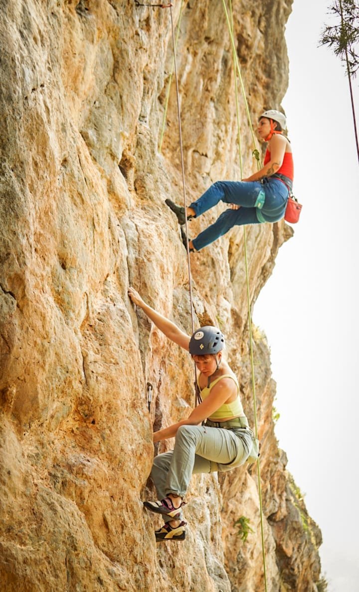 WhatsApp Image 2026-01-31 at 02.42.55.jpeg