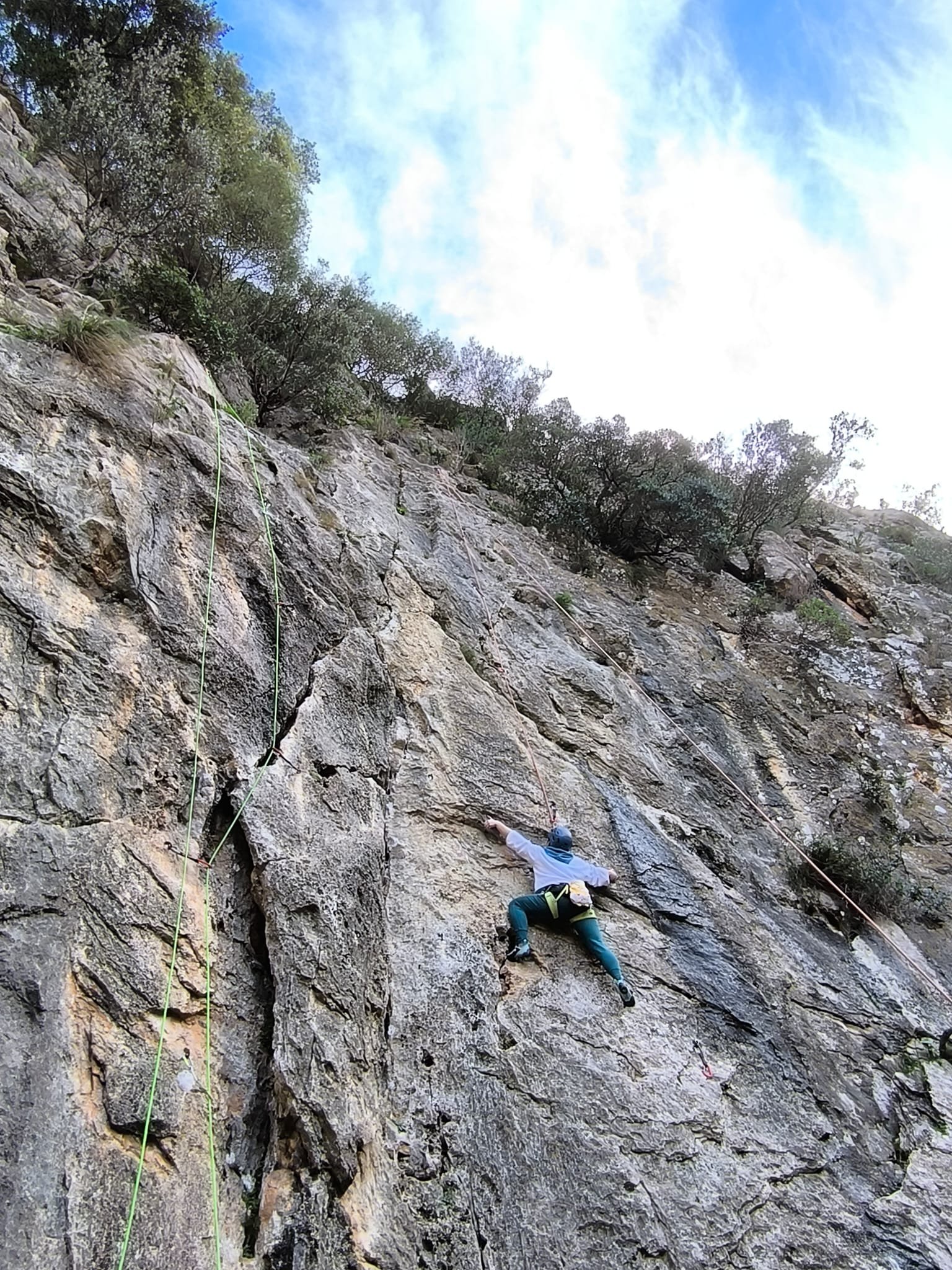 WhatsApp Image 2026-02-03 at 11.48.22.jpeg