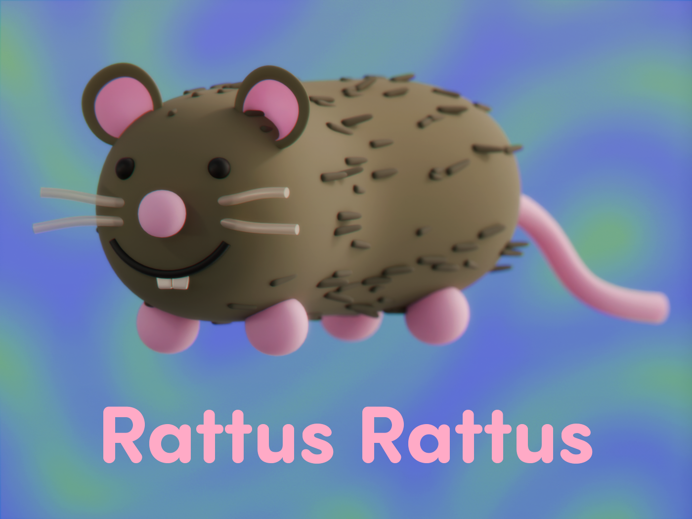 rattus rattus 2026 final.png