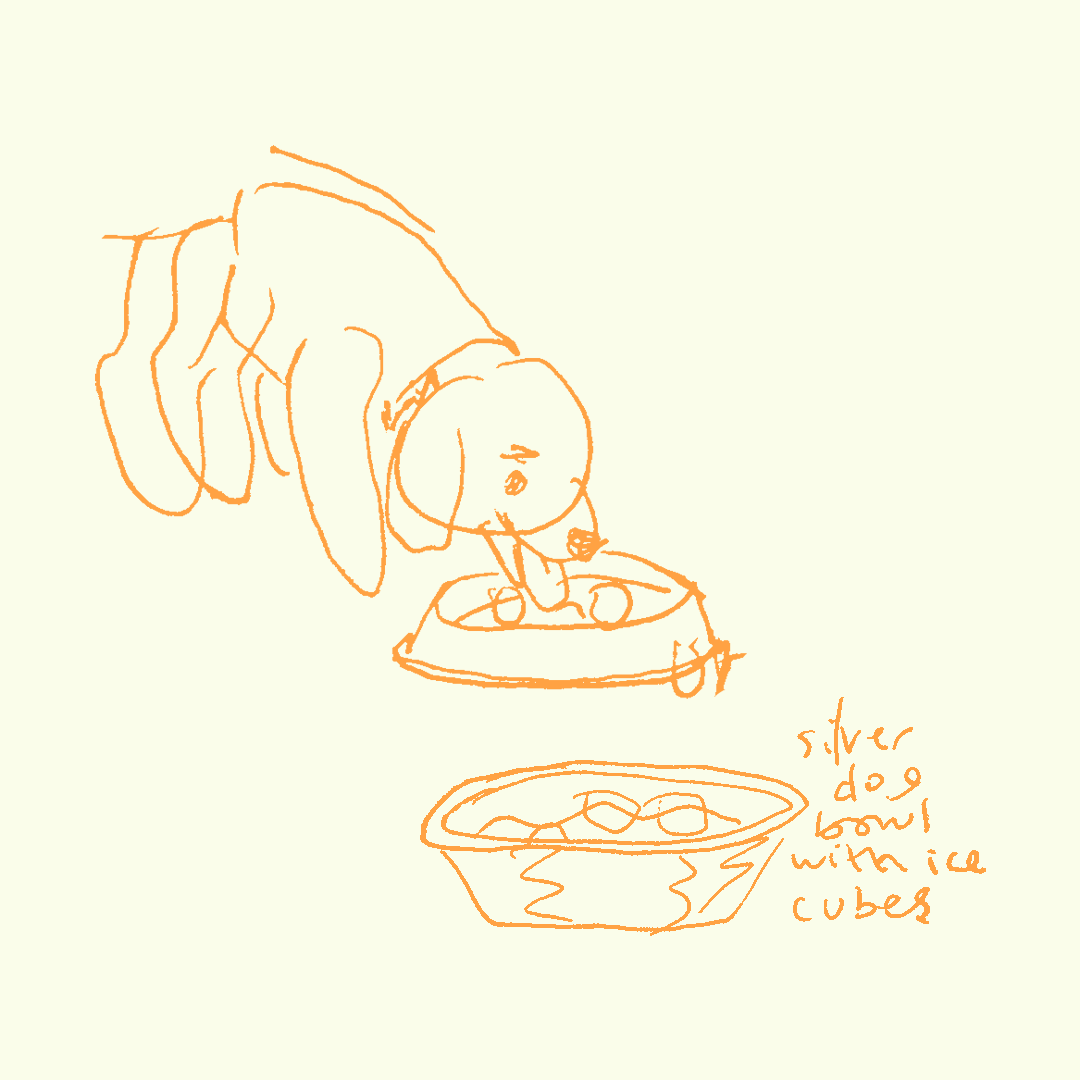 Keeping dog cool sketches 3.png