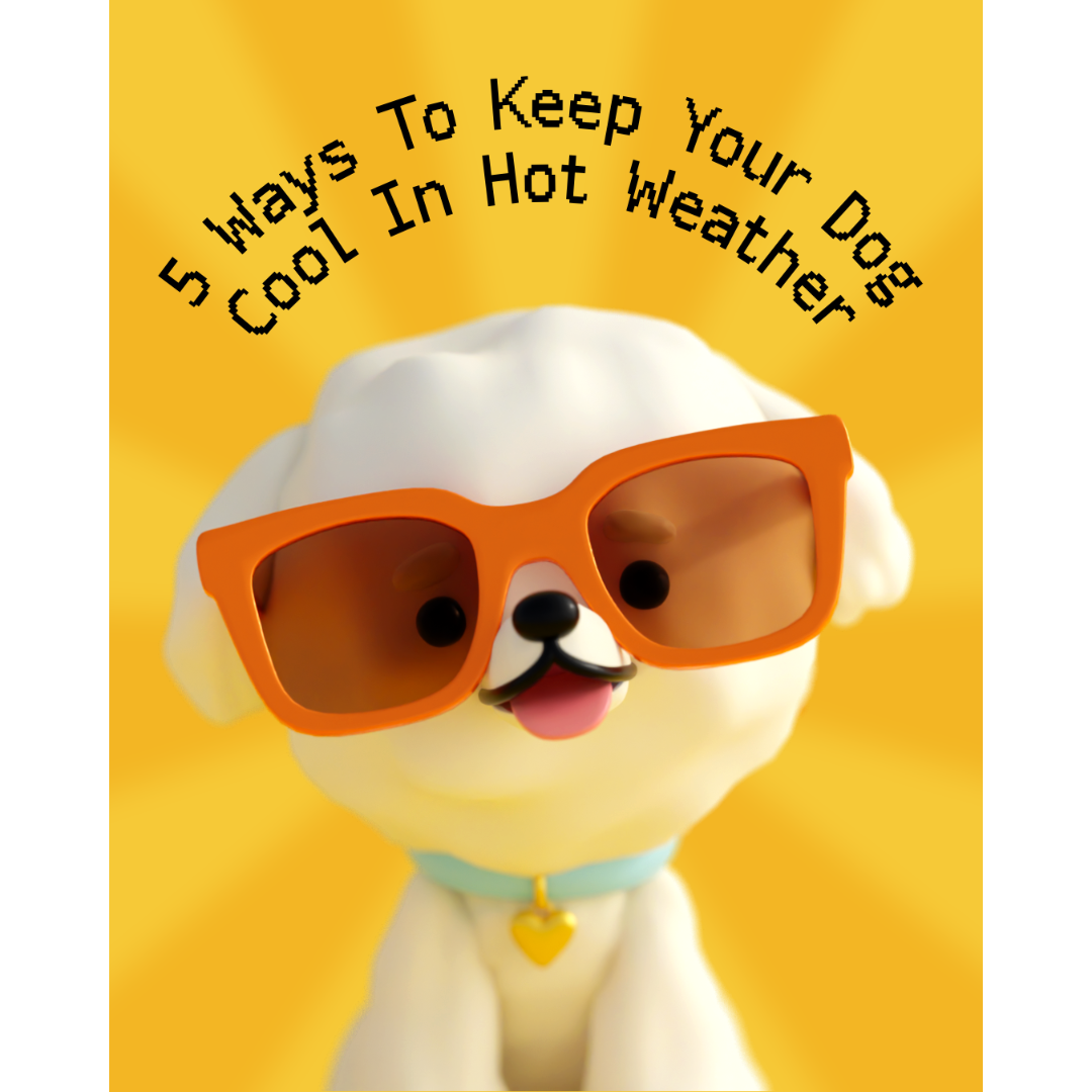 5 Ways To Keep Your Dog Cool