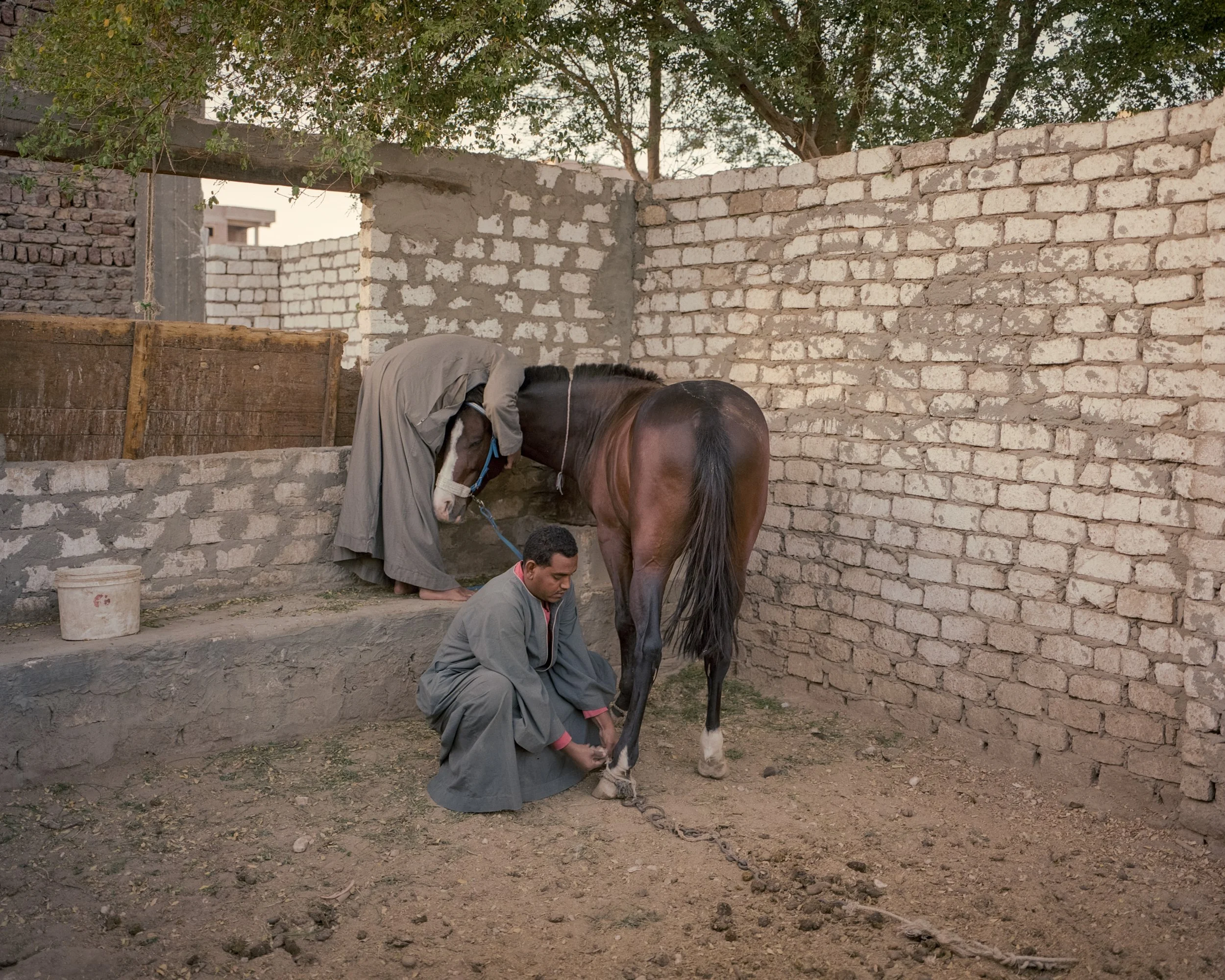 Qurnawi