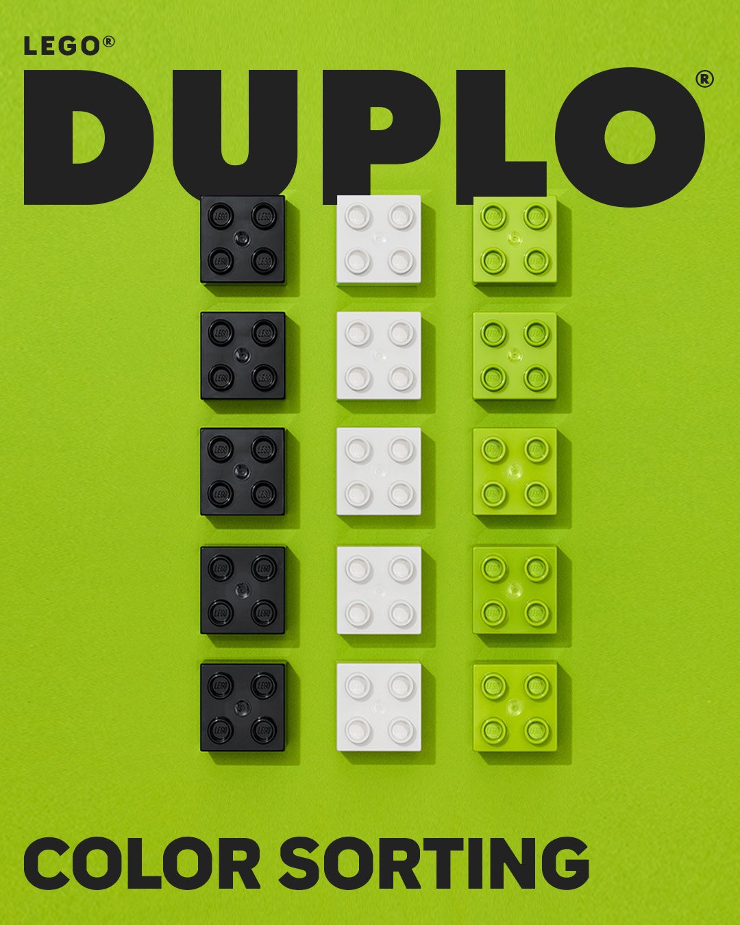 AID2408250P2WE_2HY24_Social_Stills_DUPLO_Play_Inspiration_Color_Sorting_4x5_1.jpeg