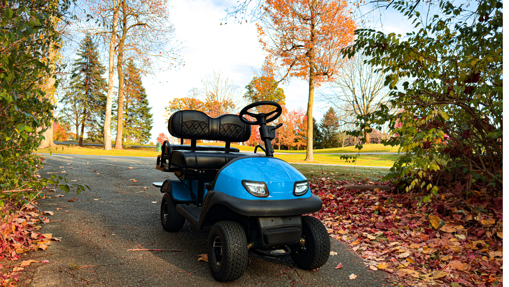Ridge Cricket Carts: Compact Golf Carts for Everyday Adventure ...