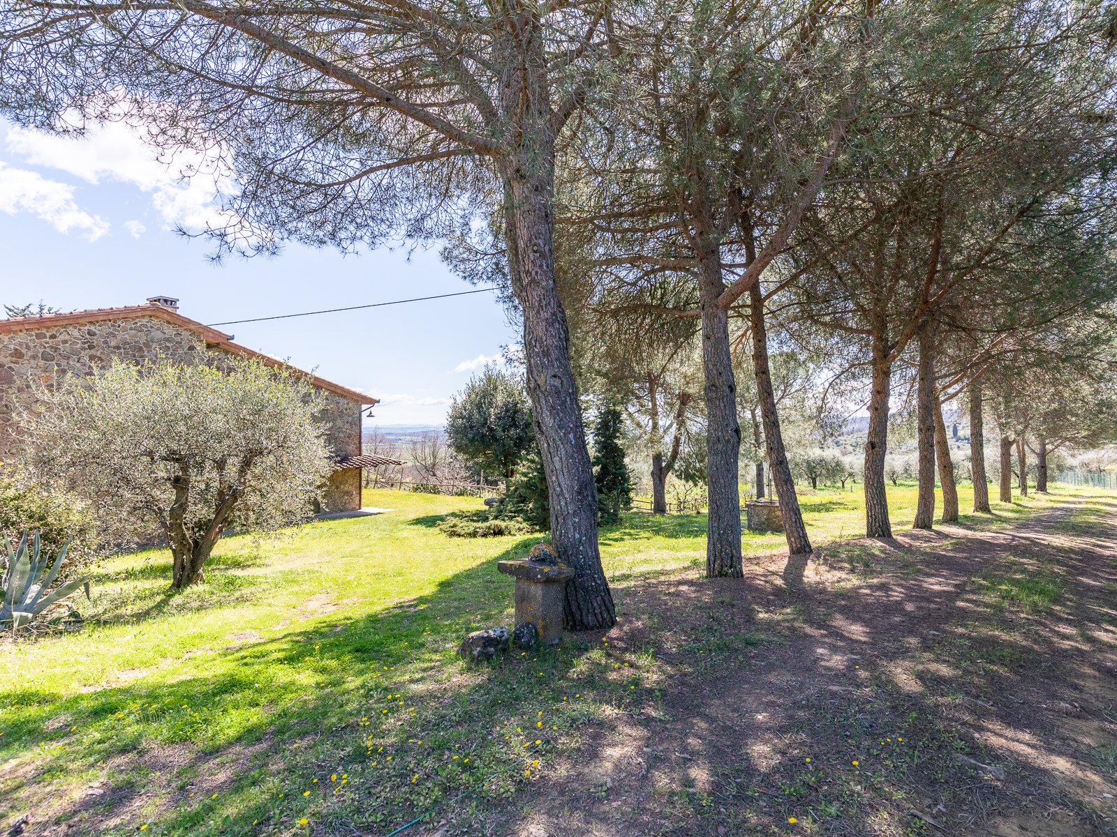TOSCANA_PRIME_FRANCESCO_RIGOMAGNO_310325-26.jpg